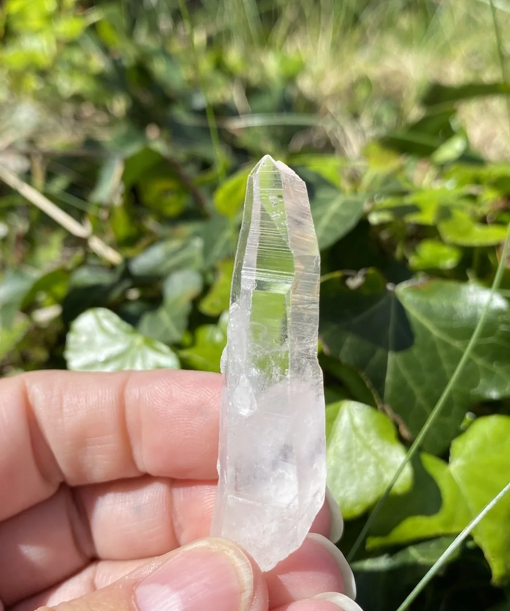 Lemurian 12.JPG