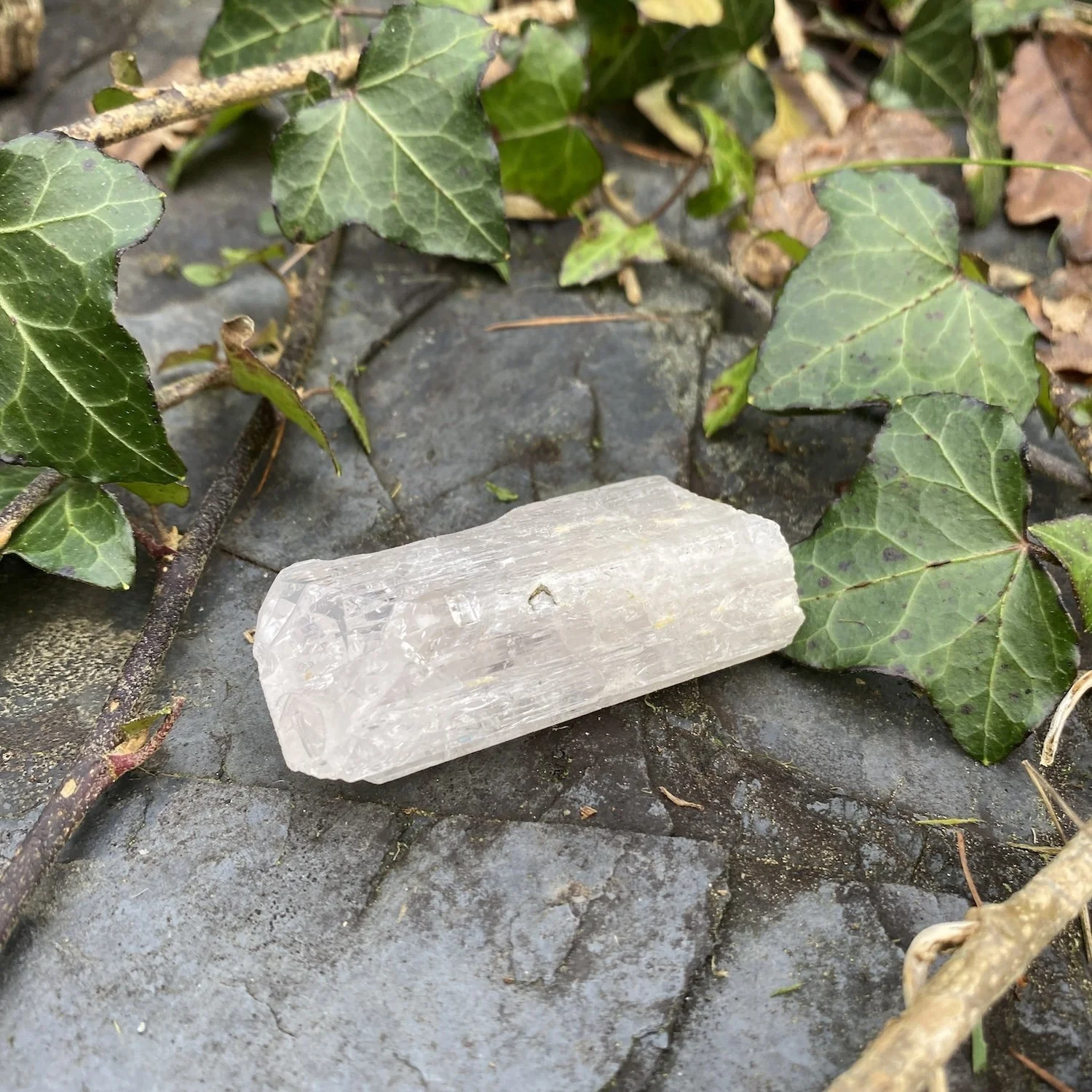 Danburite3.jpg