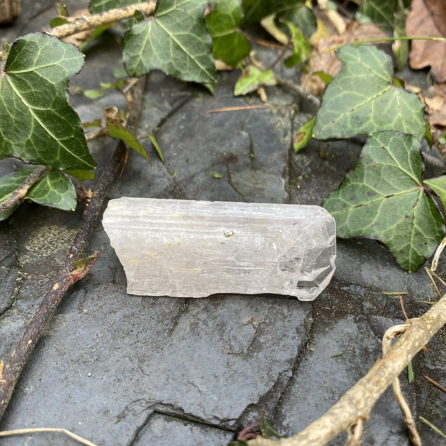 Danburite4.jpg