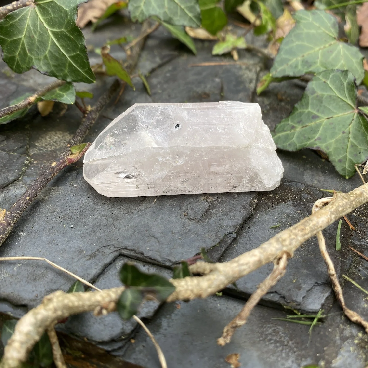 Danburite1.jpg