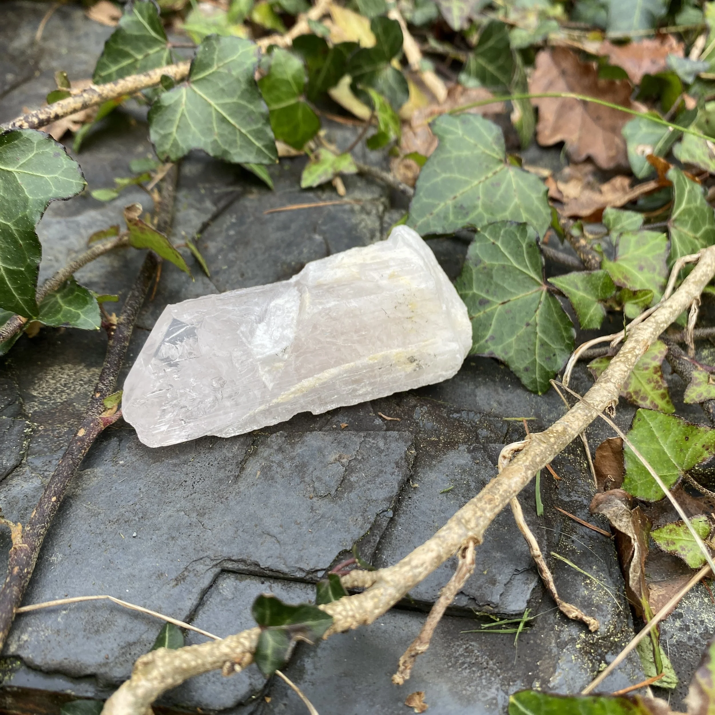 Danburite  1 £421.jpg