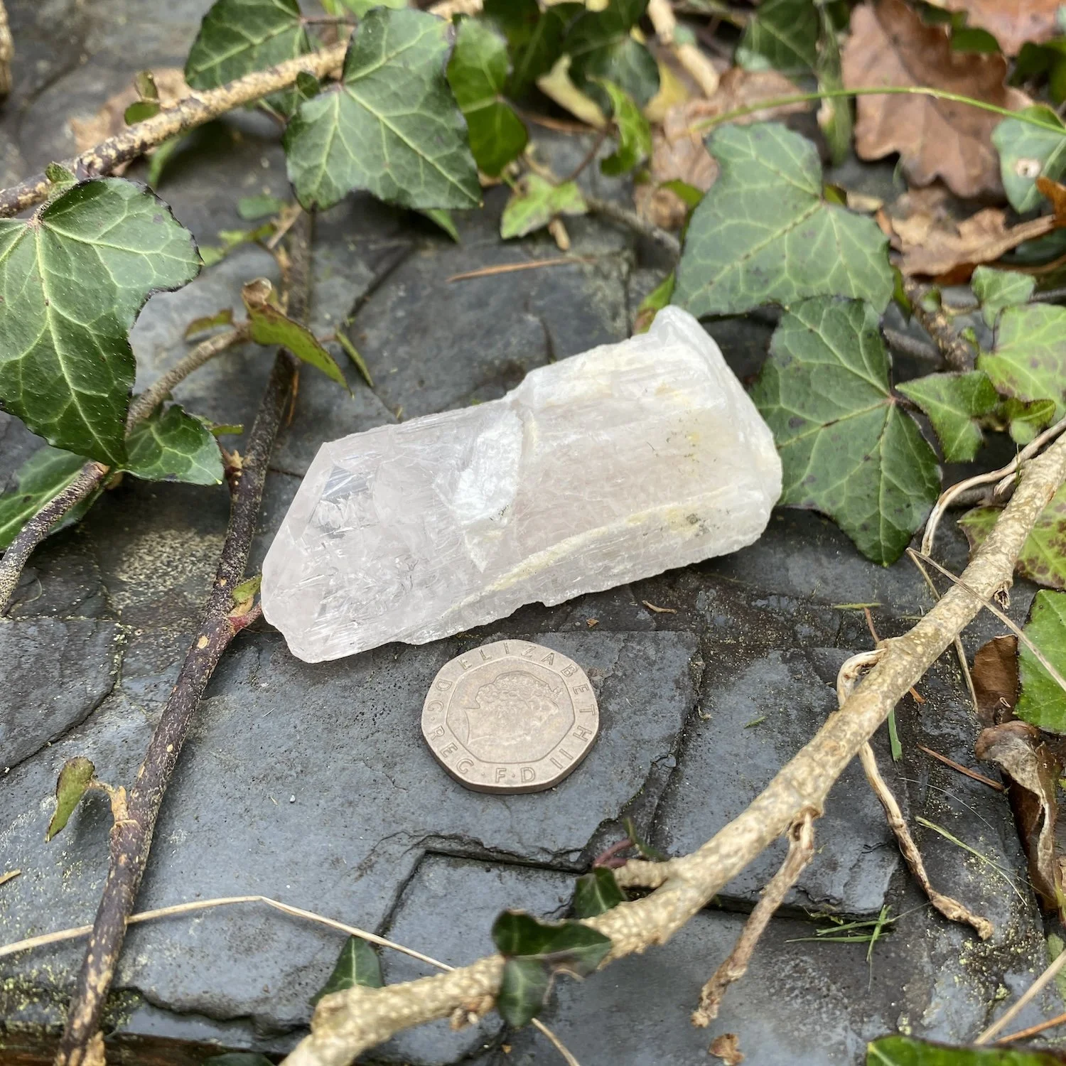 Danburite  1 £422.jpg