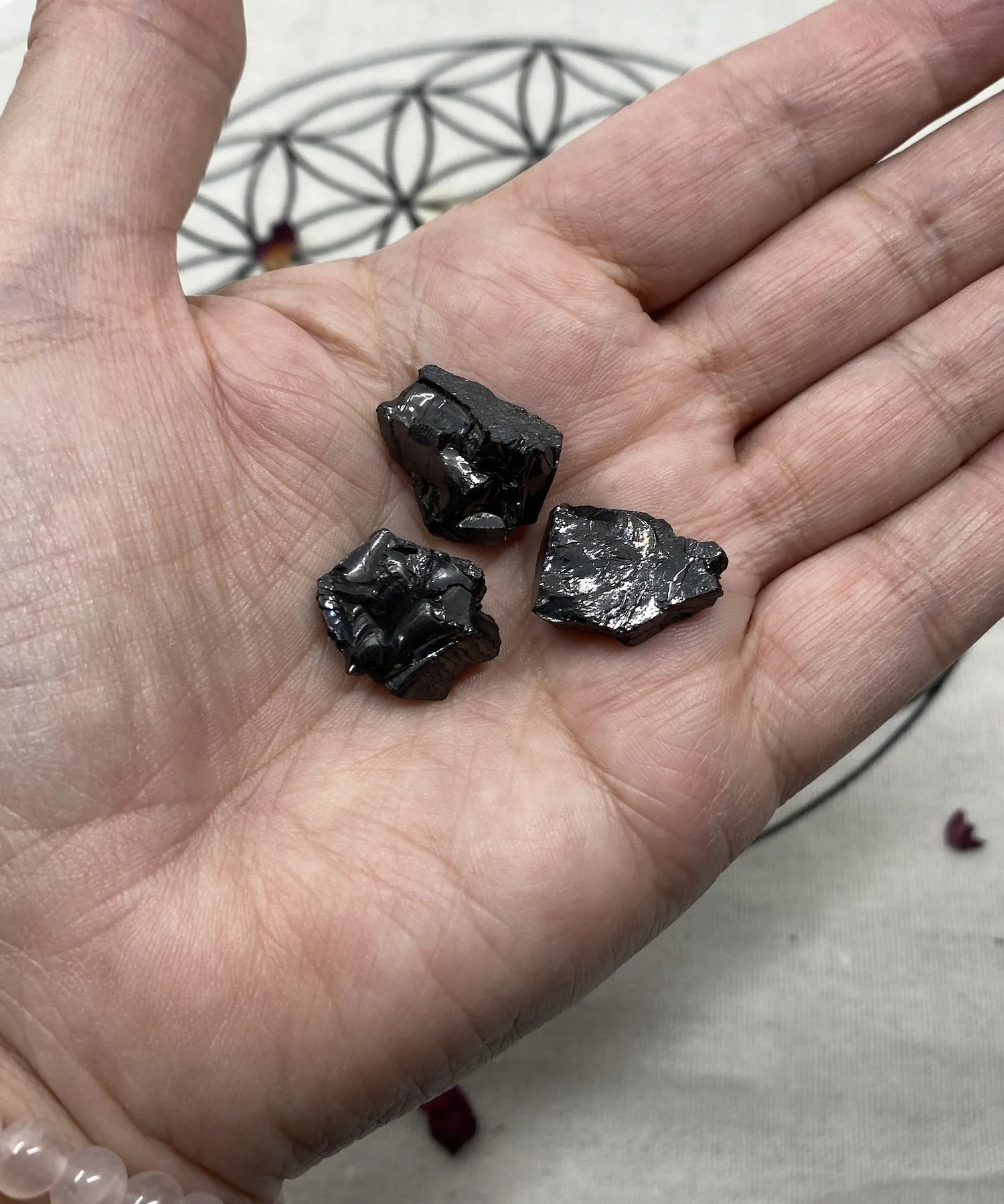 Elite 3 small pieces2.jpg