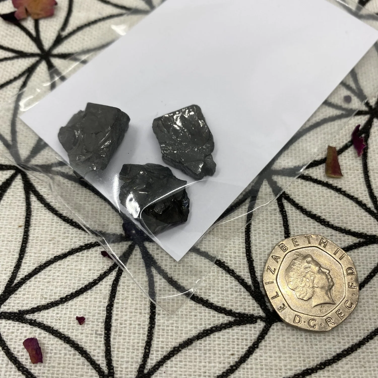 Elite 3 small pieces3.jpg