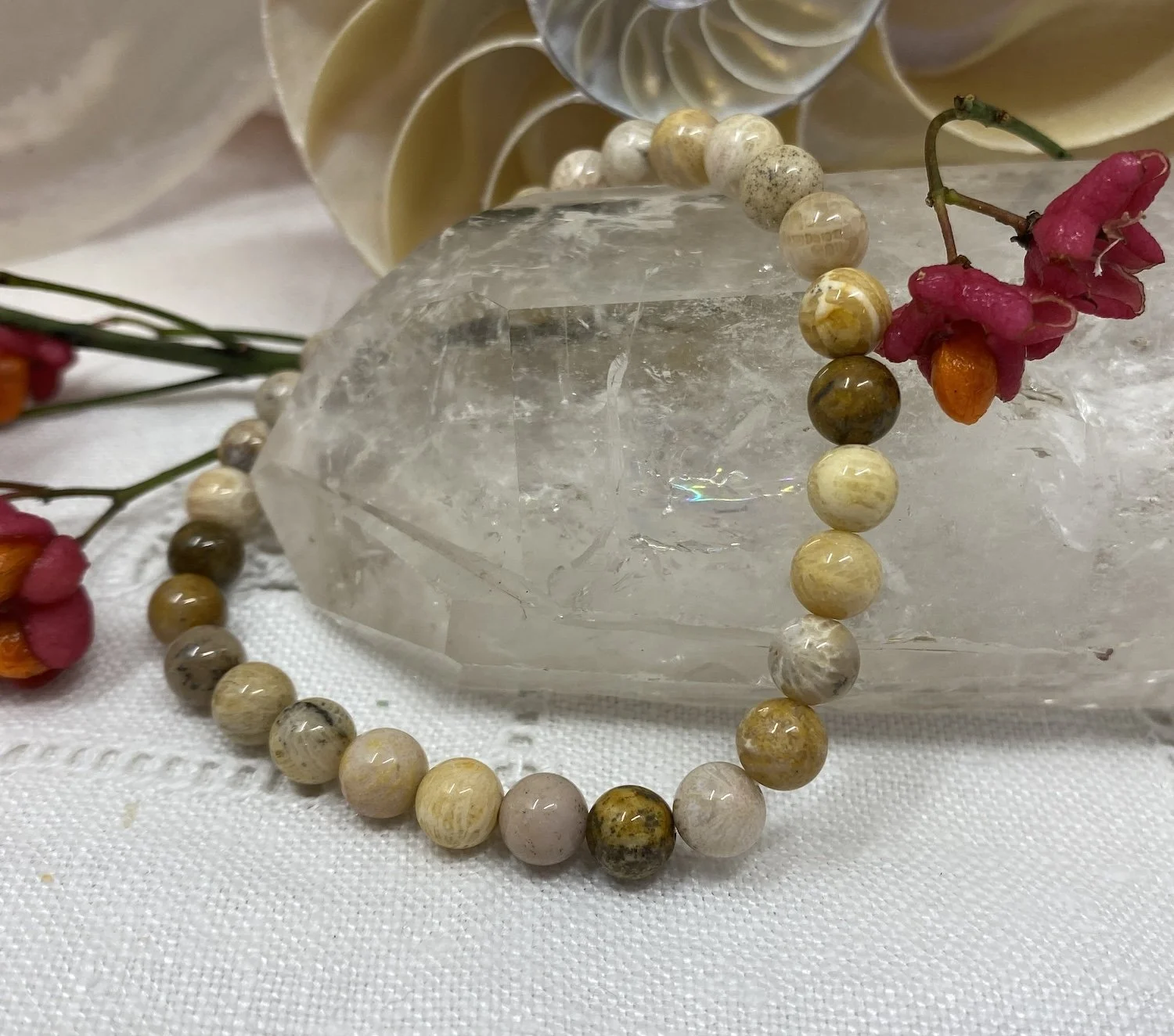 Bracelets 6mm Fossil Coral.jpg