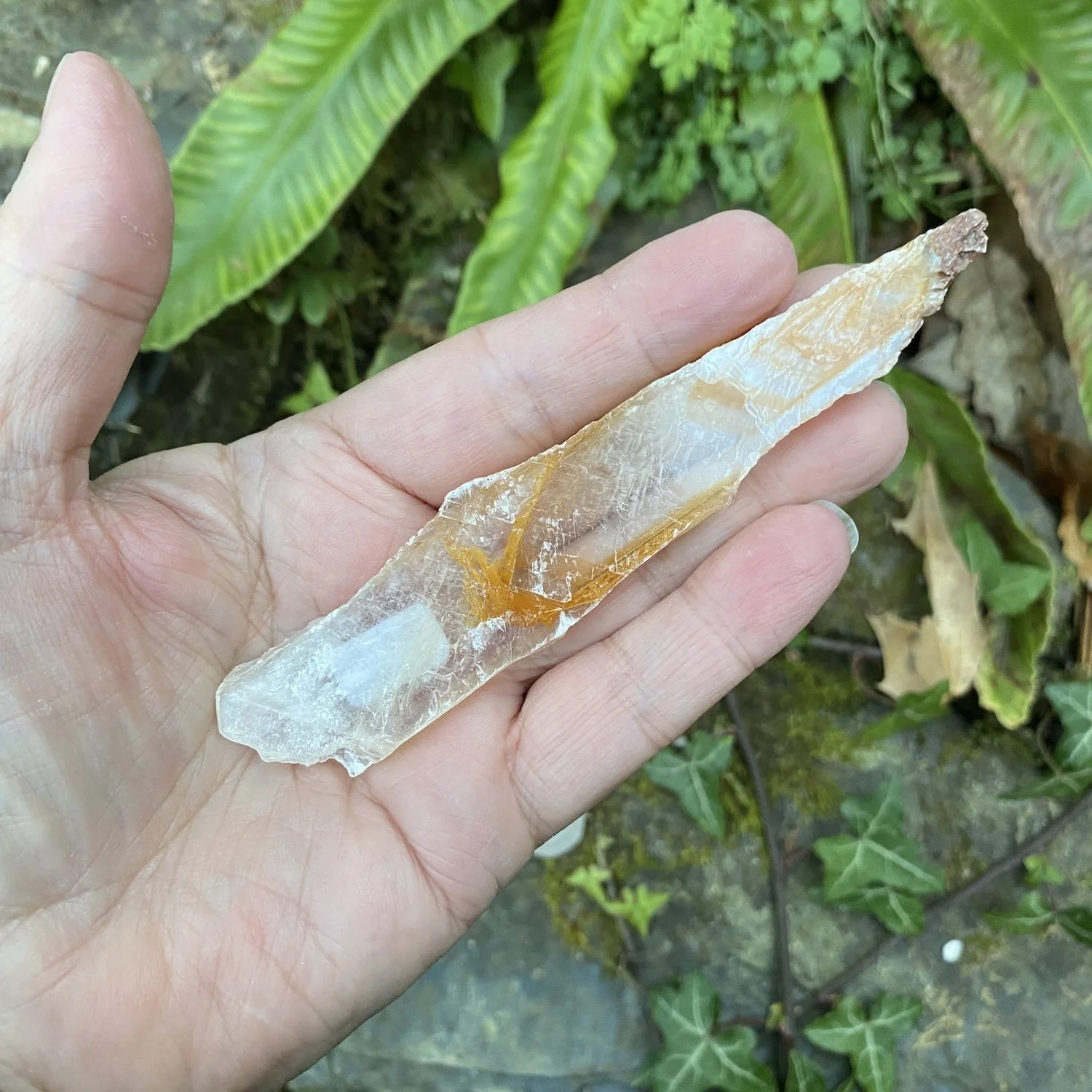 Selenite shards3.JPG