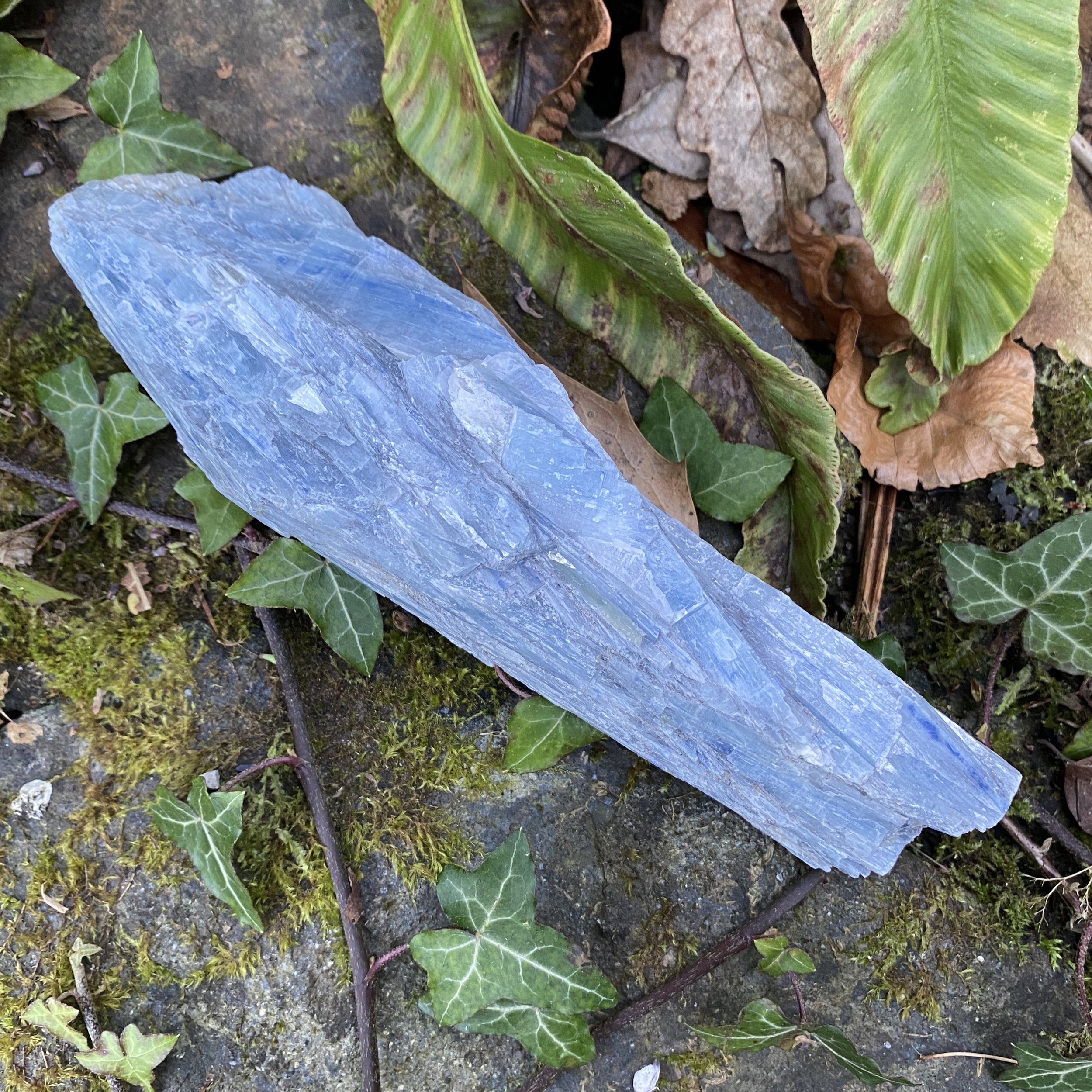 Kyanite 11.JPG