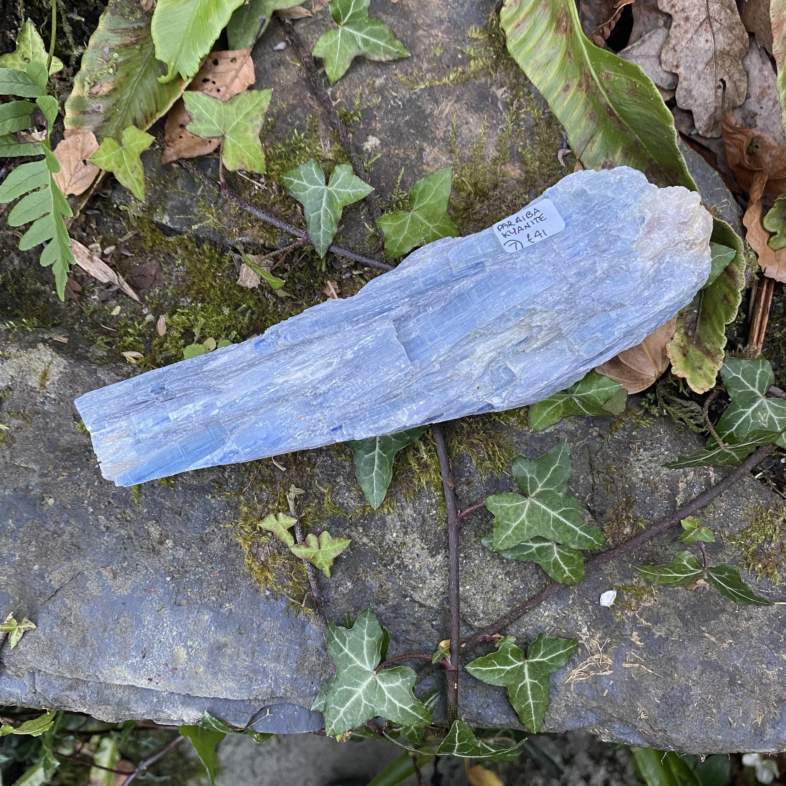 Kyanite 13.JPG