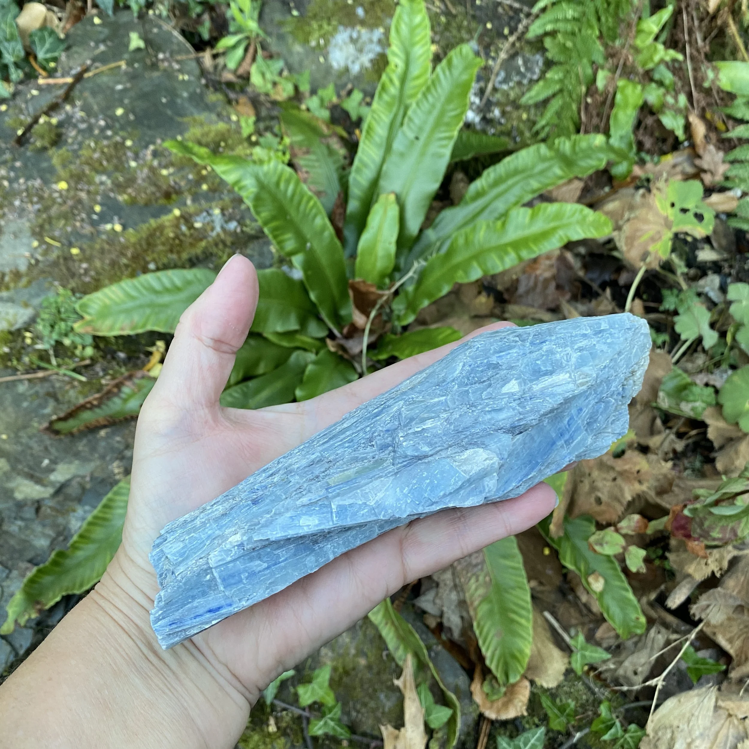 Kyanite 14.JPG