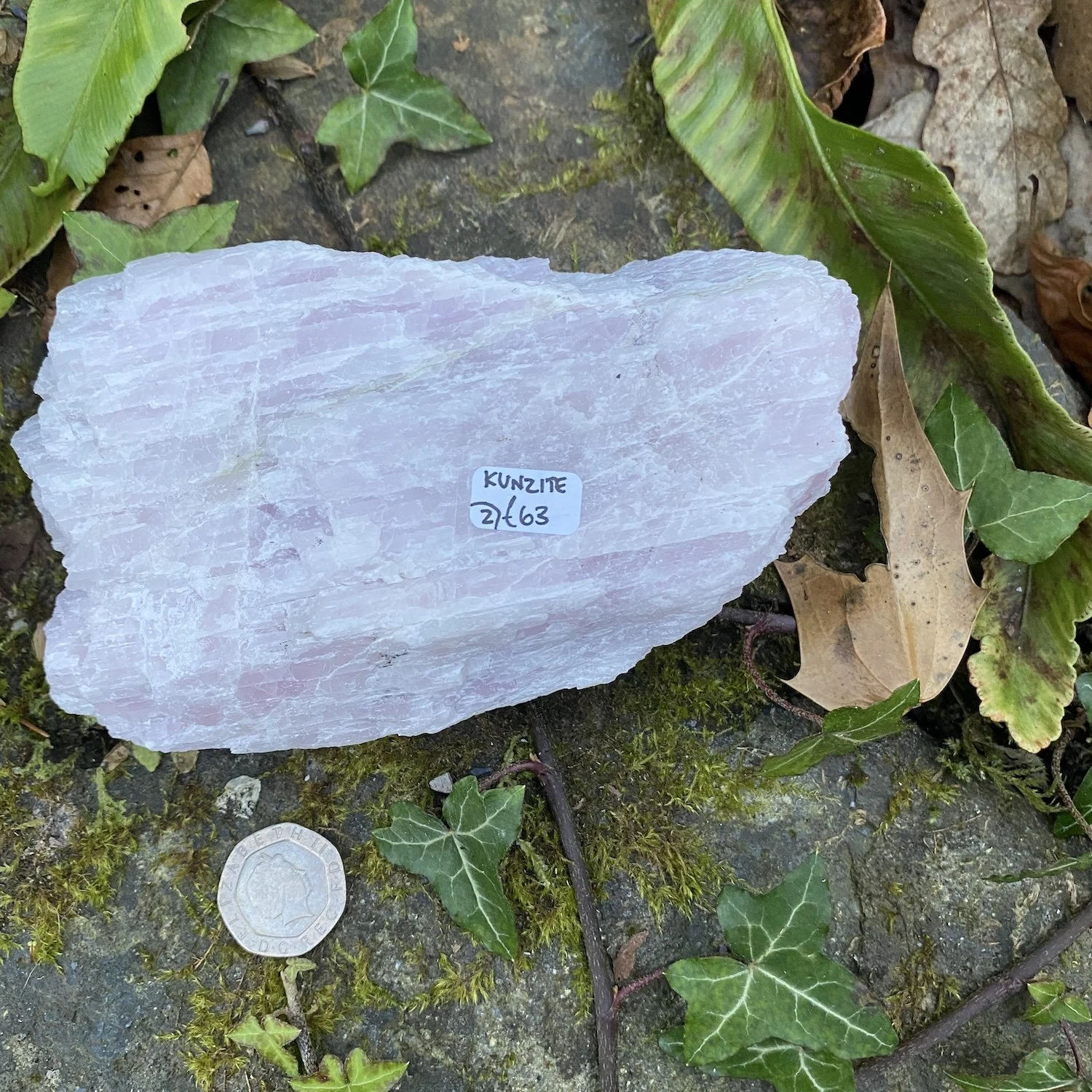 Kunzite2.JPG