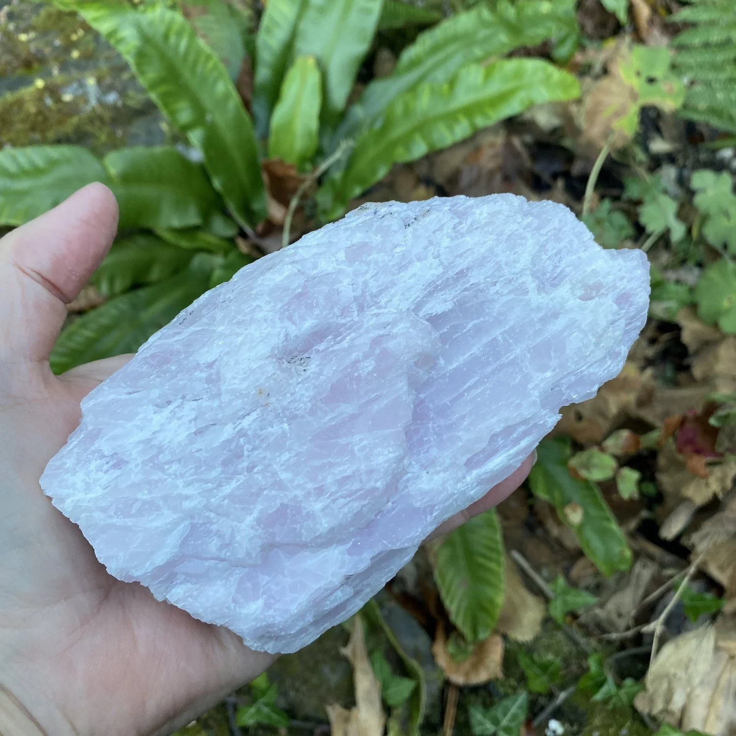 Kunzite3.JPG