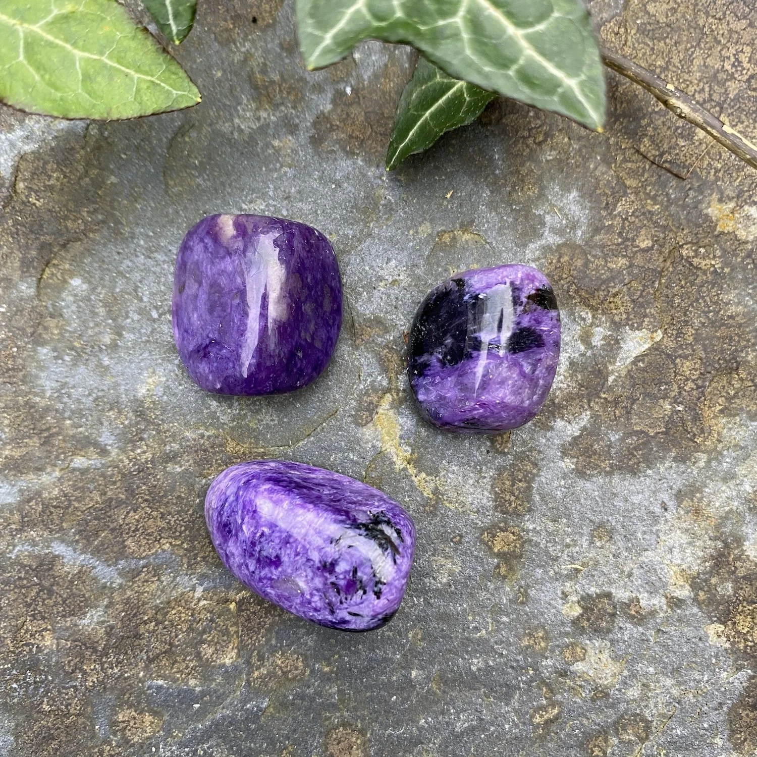 Charoite TS.jpg