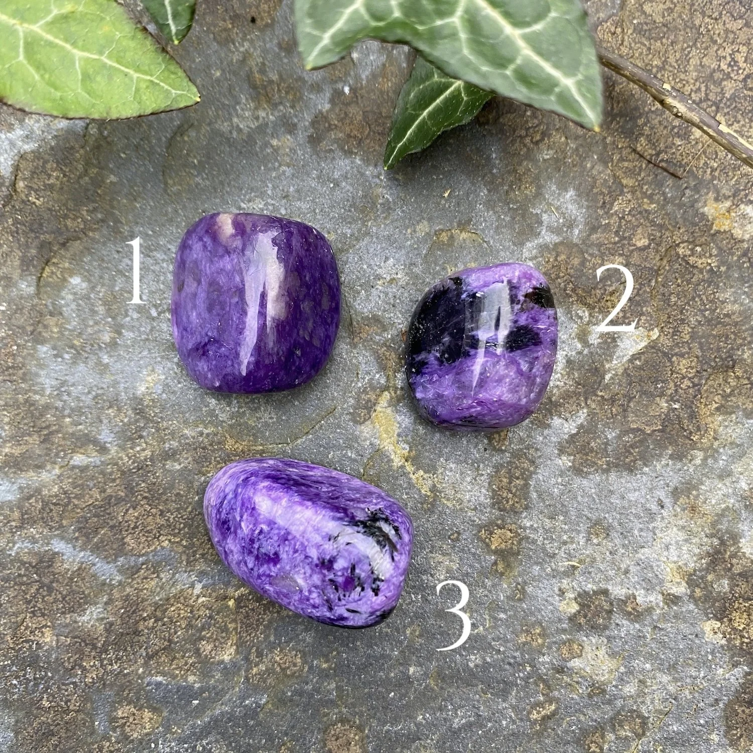 Charoite TS copy.jpeg