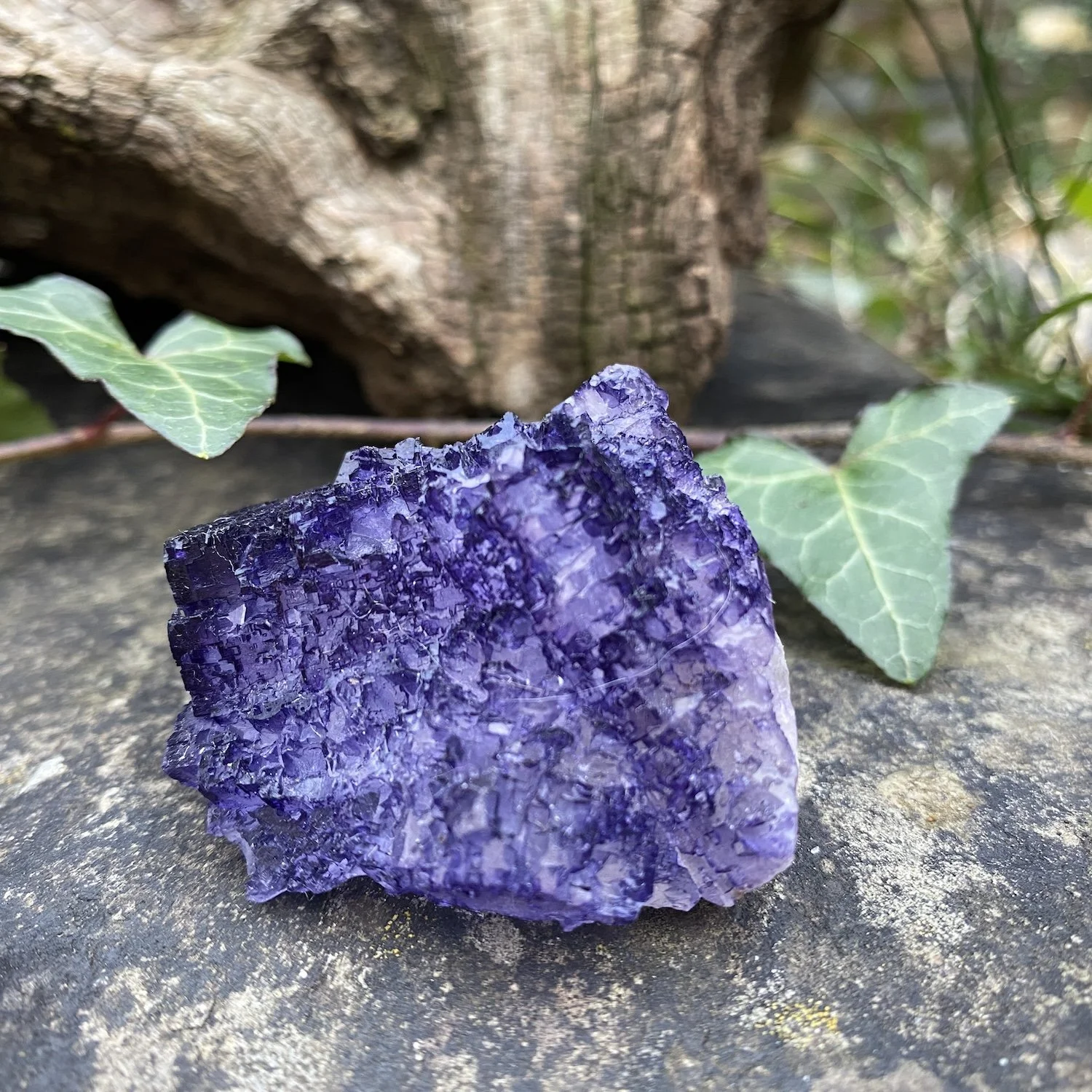 Fluorite clusters2.jpg
