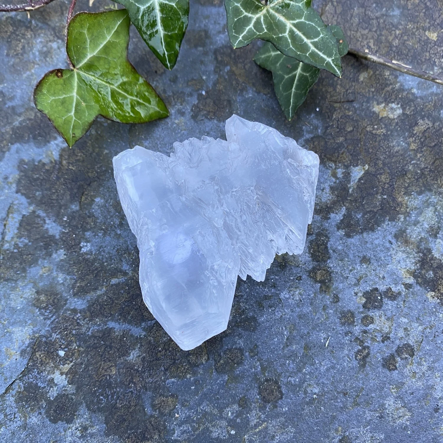 Selenite 51.jpg