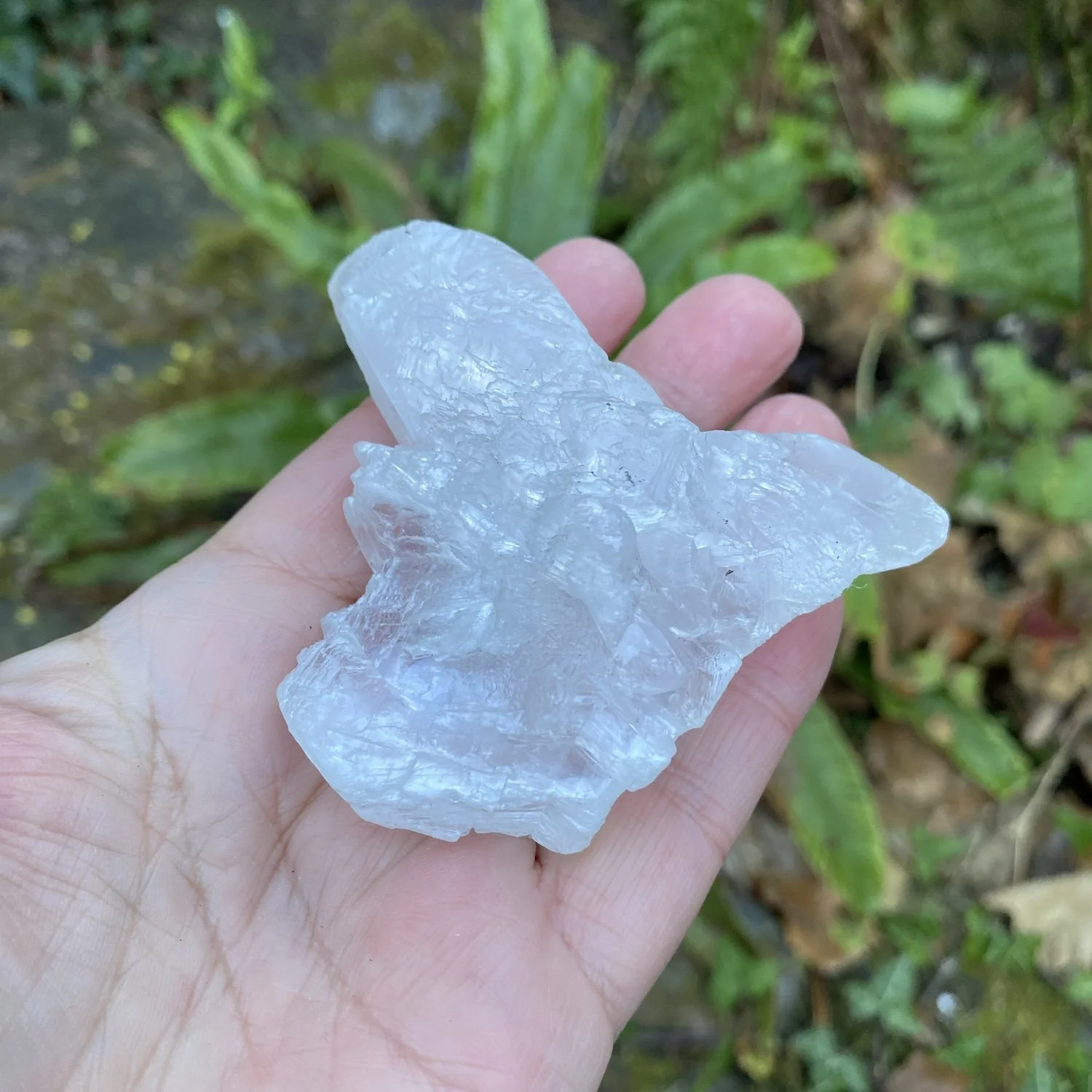 Selenite 93.jpg