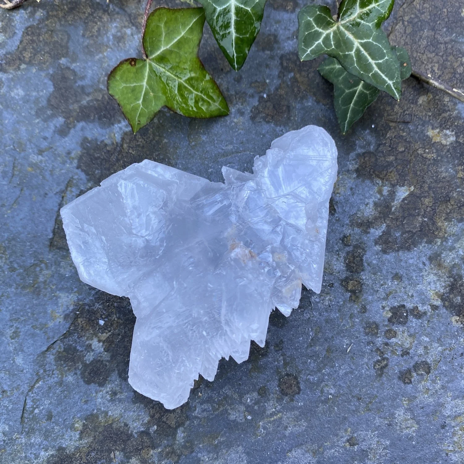 Selenite 81.jpg