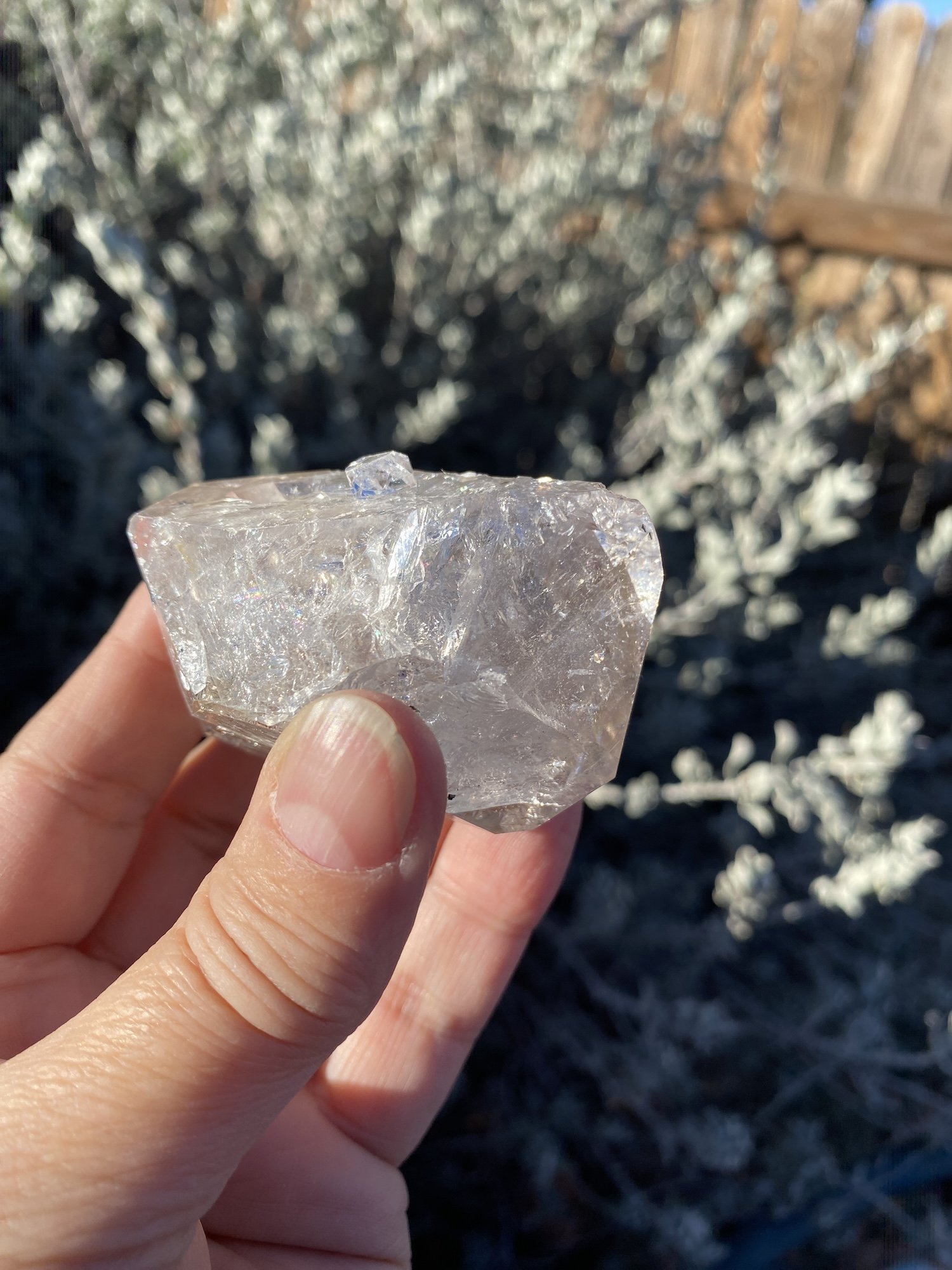 Herkimer 2M baby 128g2.JPG