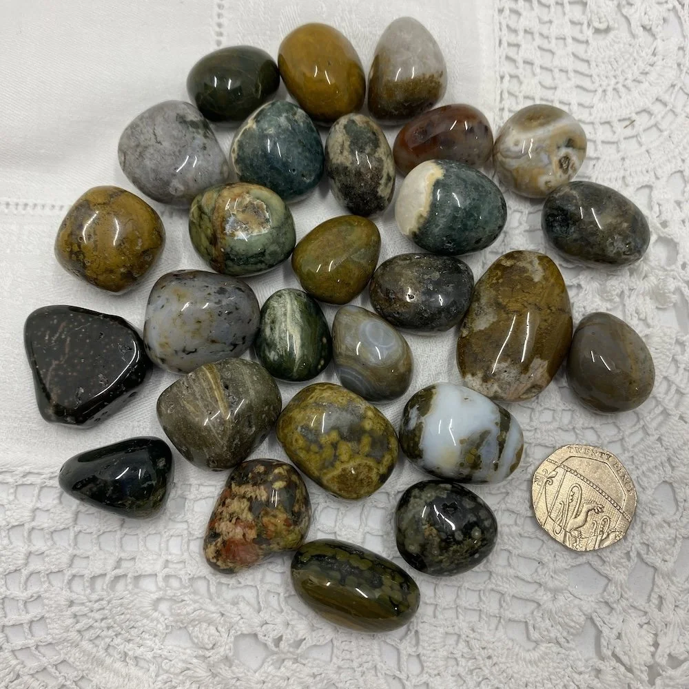 TS Jasper Ocean 22.JPG