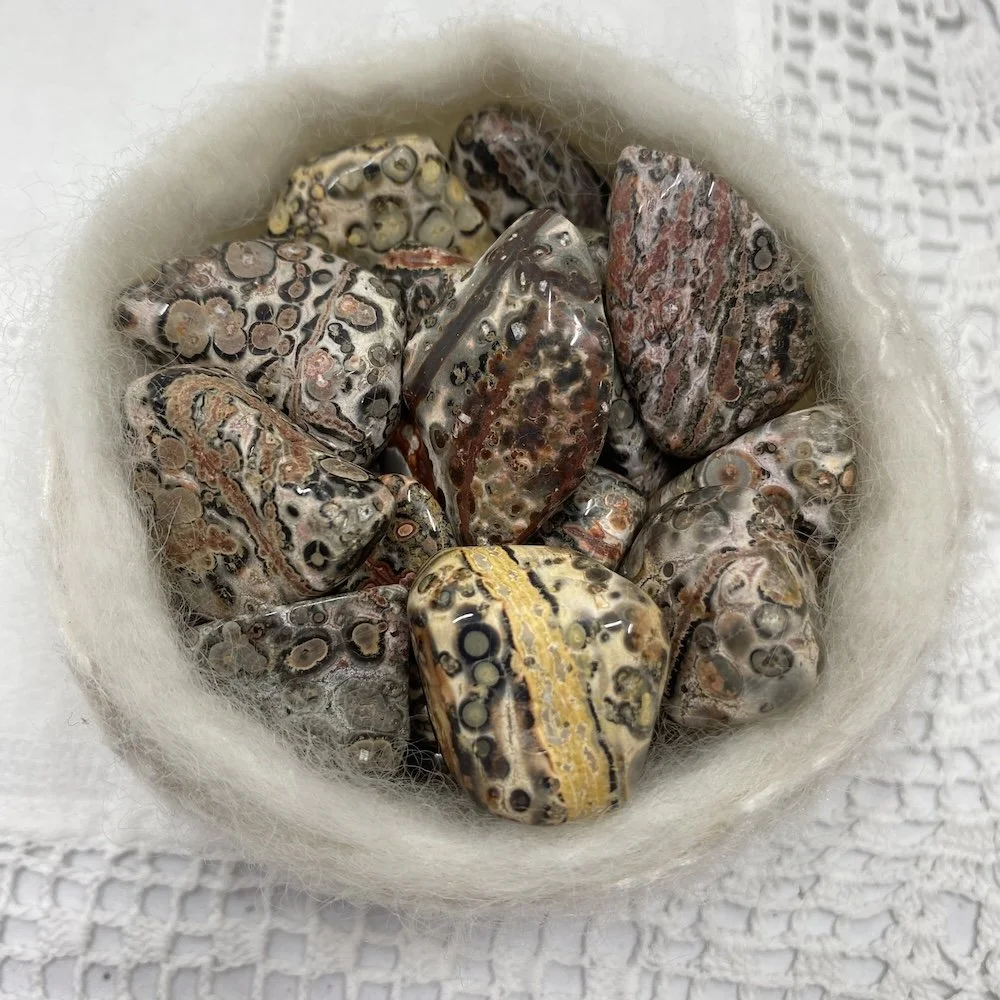 TS Jasper Leopardskin4.JPG