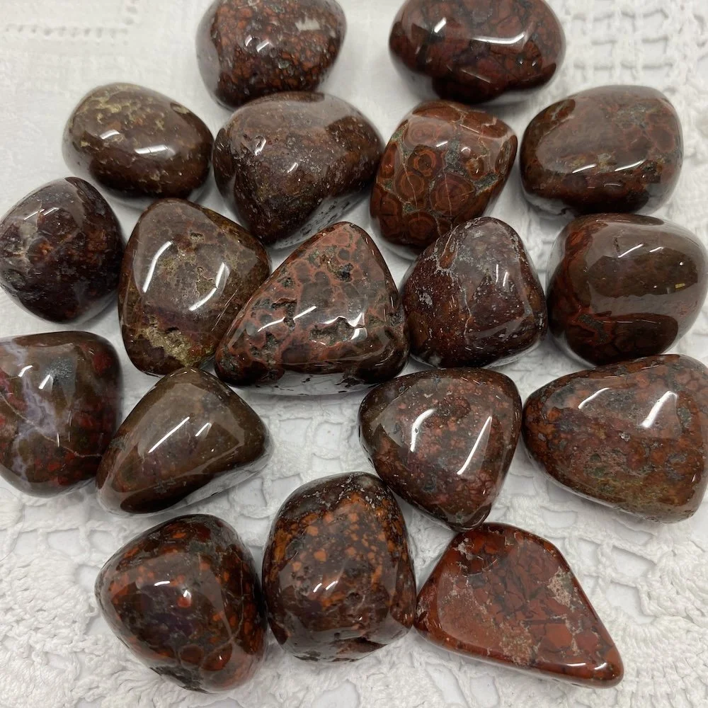 TS Jasper Poppy1.JPG