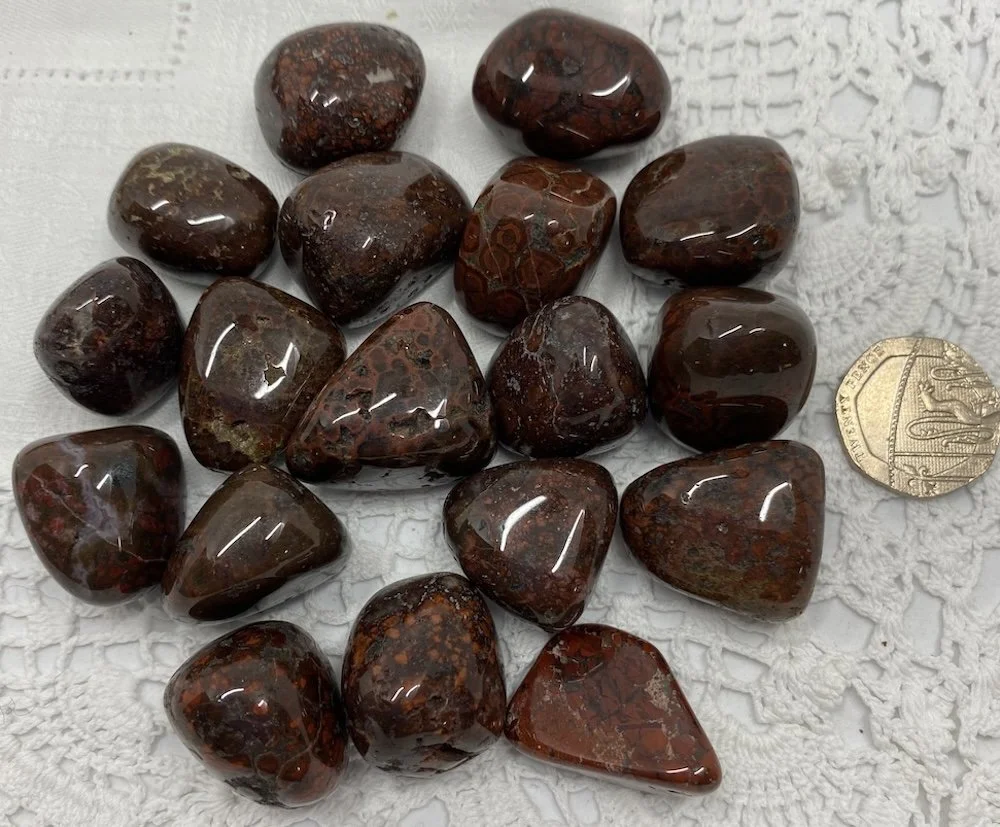 TS Jasper Poppy2.JPG