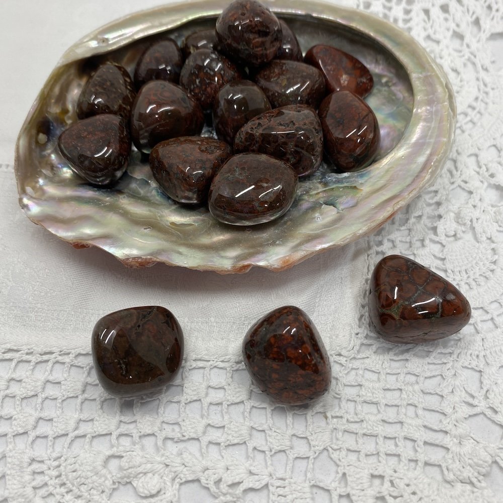 TS Jasper Poppy4.JPG