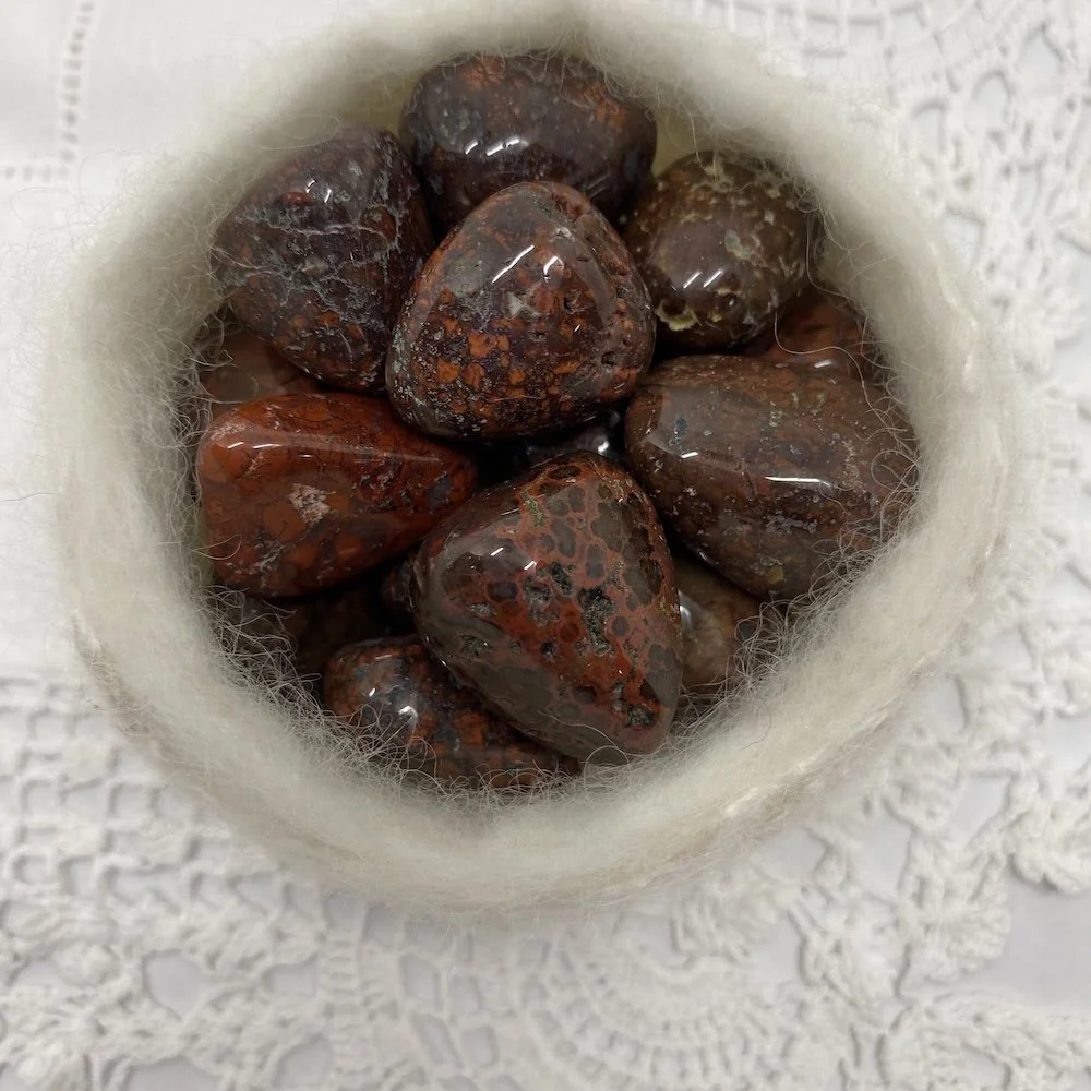 TS Jasper Poppy5.JPG