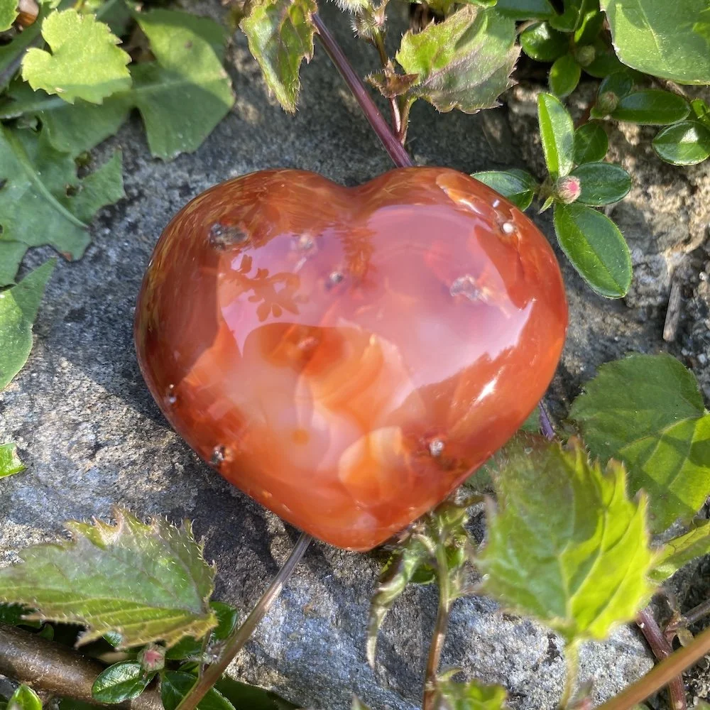 IMG_7206.JPG