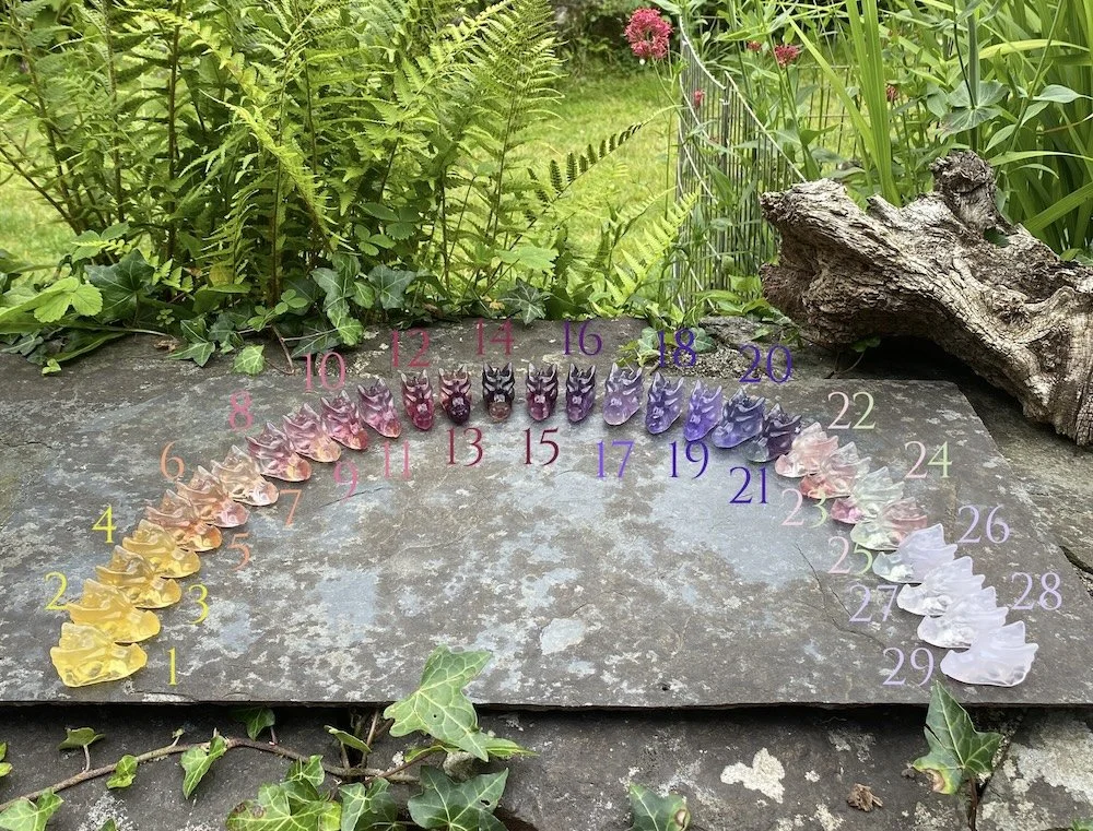 Dragon Council with numbers small.jpeg