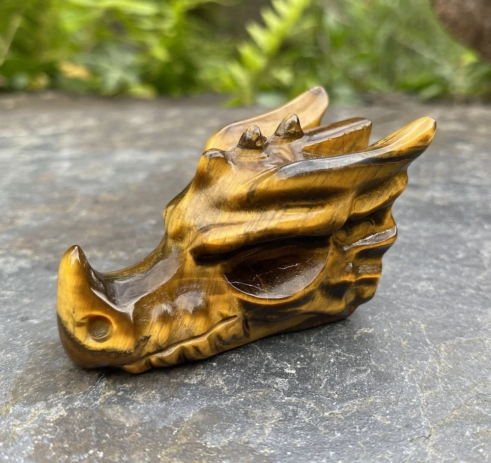 2024 Tiger's Eye Dragon1.JPG