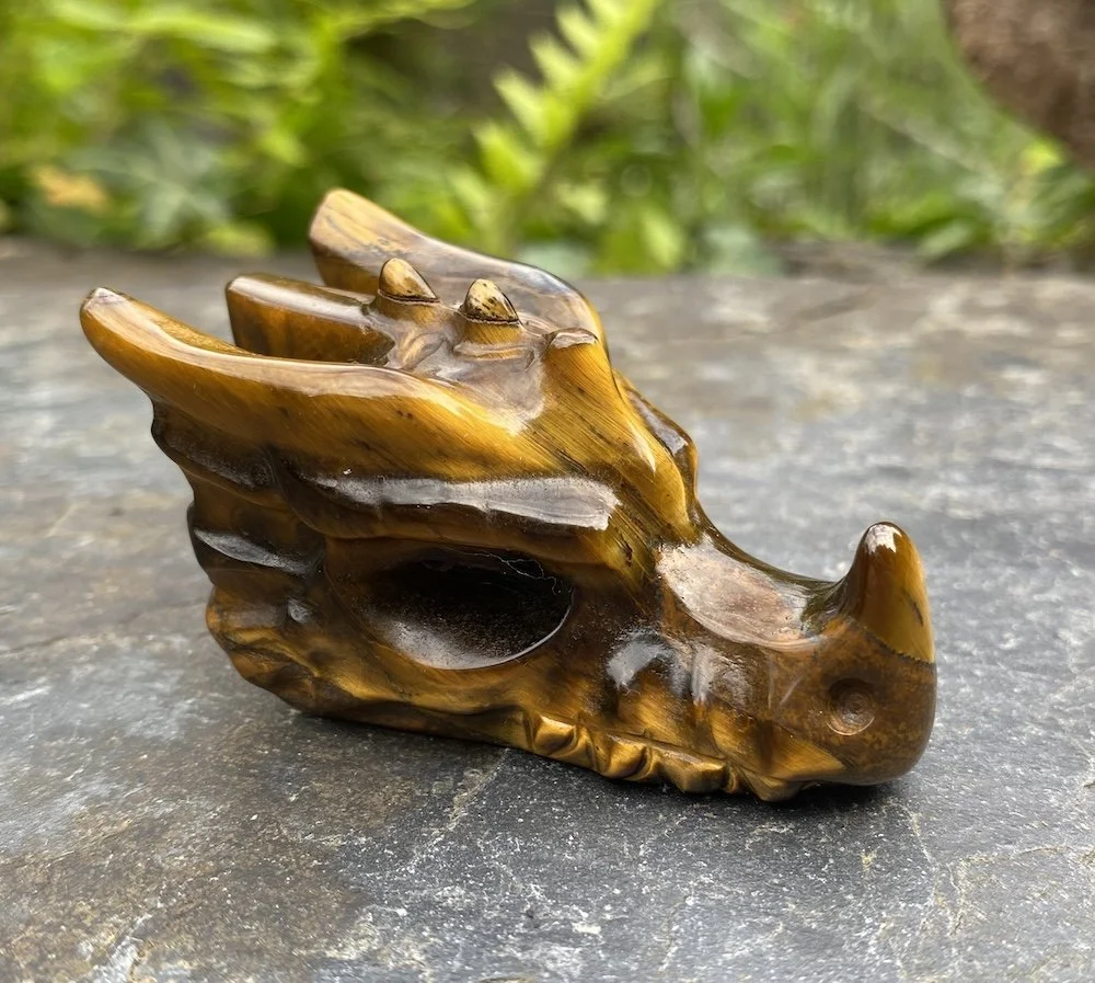 2024 Tiger's Eye Dragon2.JPG