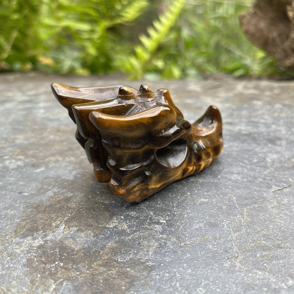 2024 Tiger's Eye Dragon3.JPG