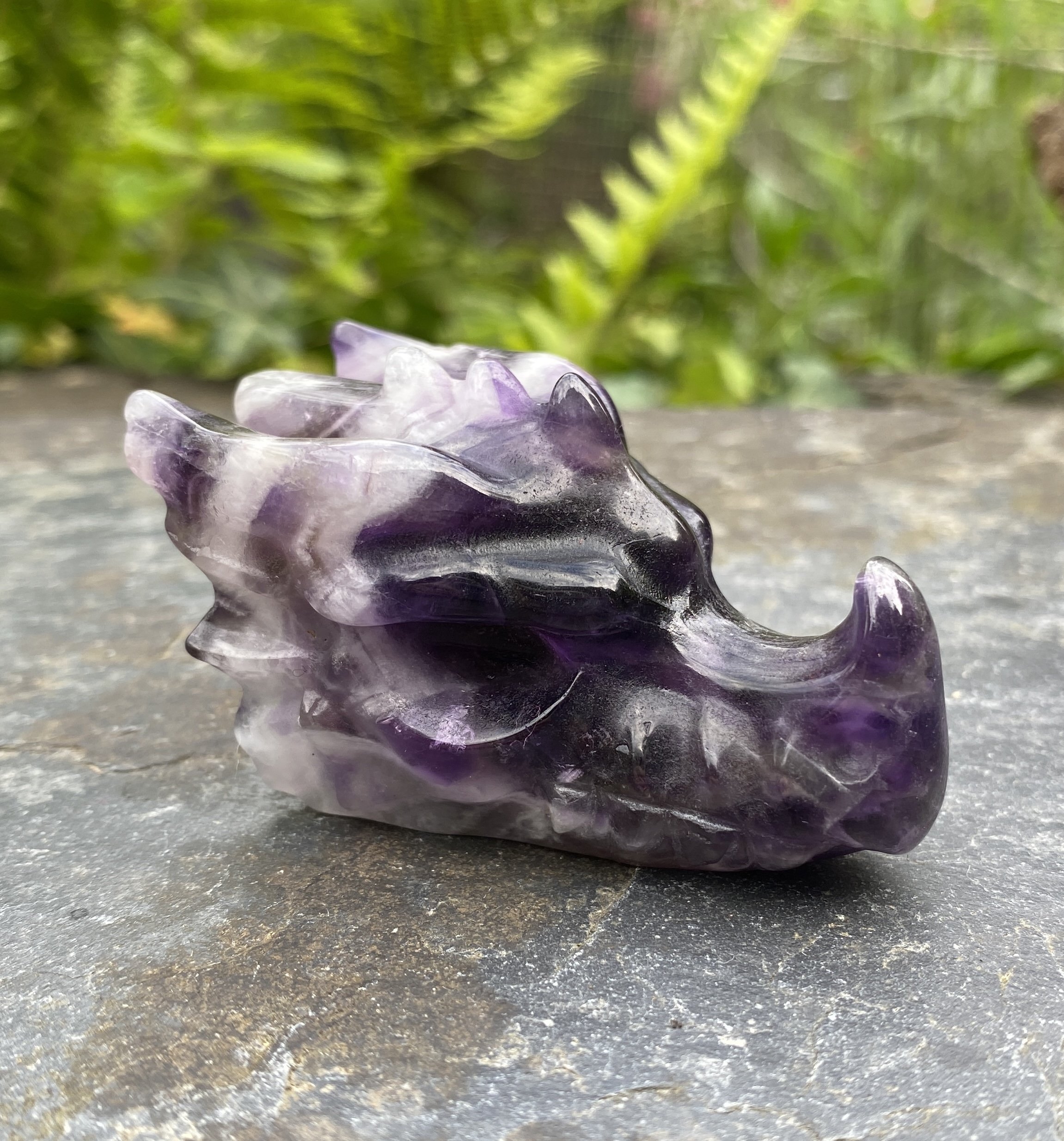 2024 Amethyst Chevron Dragon 22.JPG