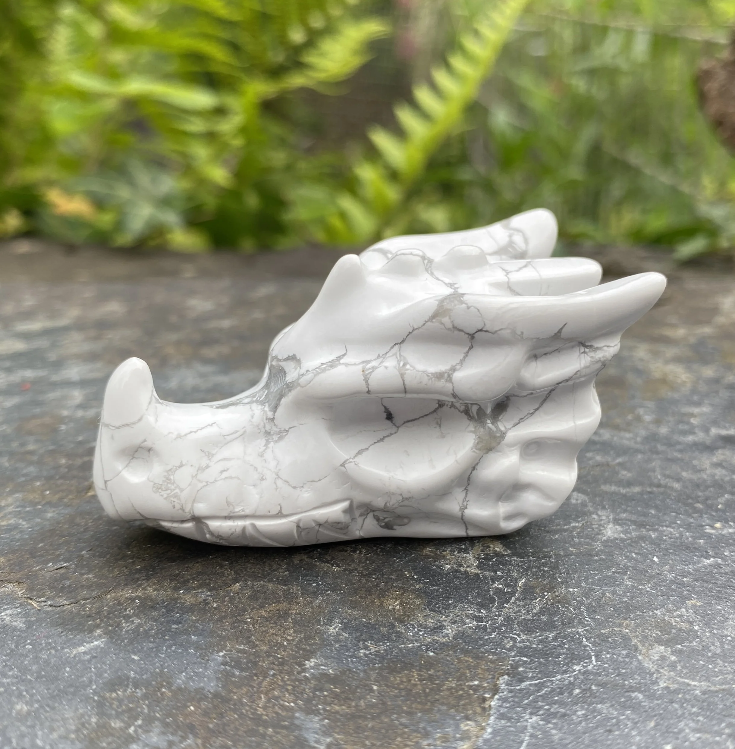 2024 Howlite Dragon 11.JPG