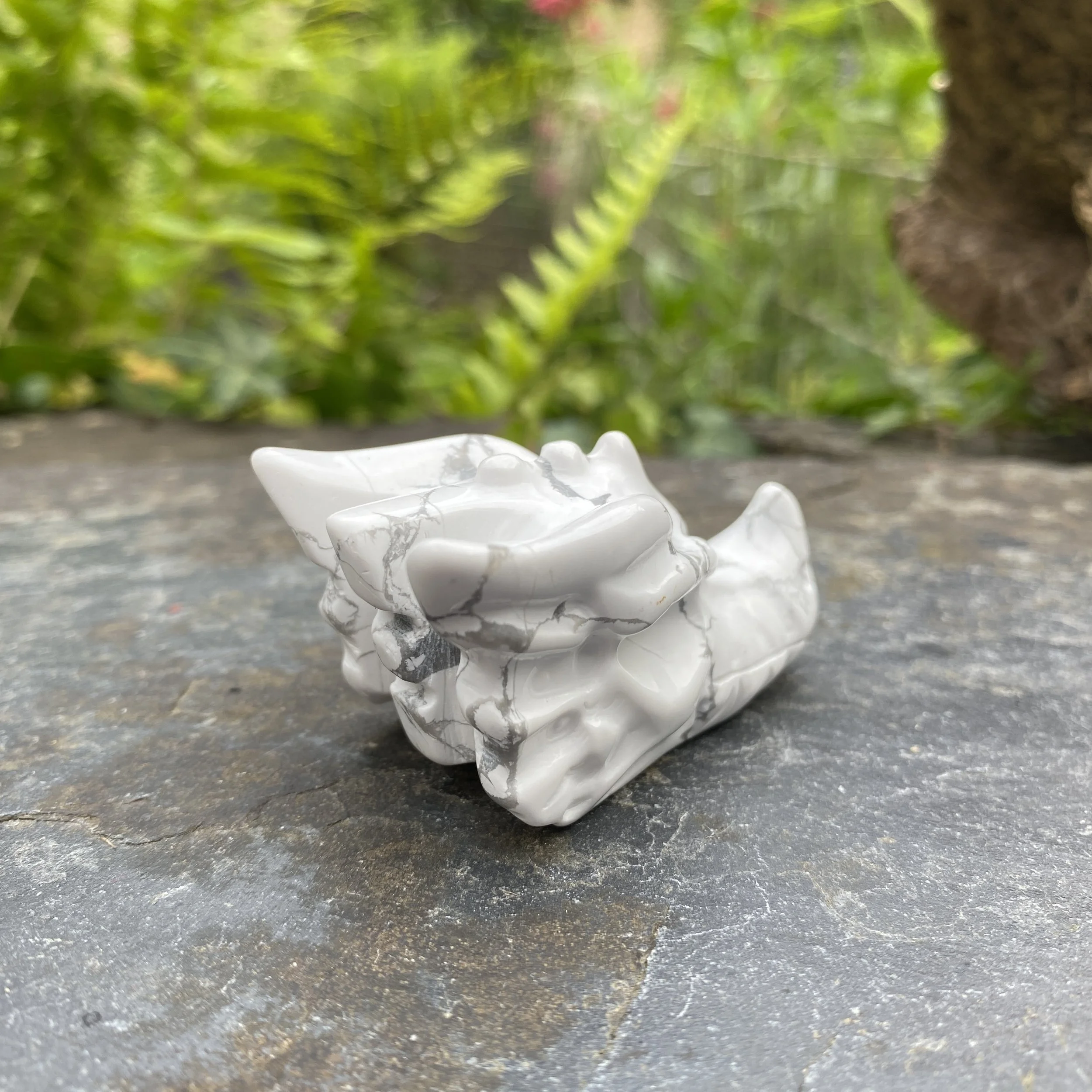 2024 Howlite Dragon 13.JPG