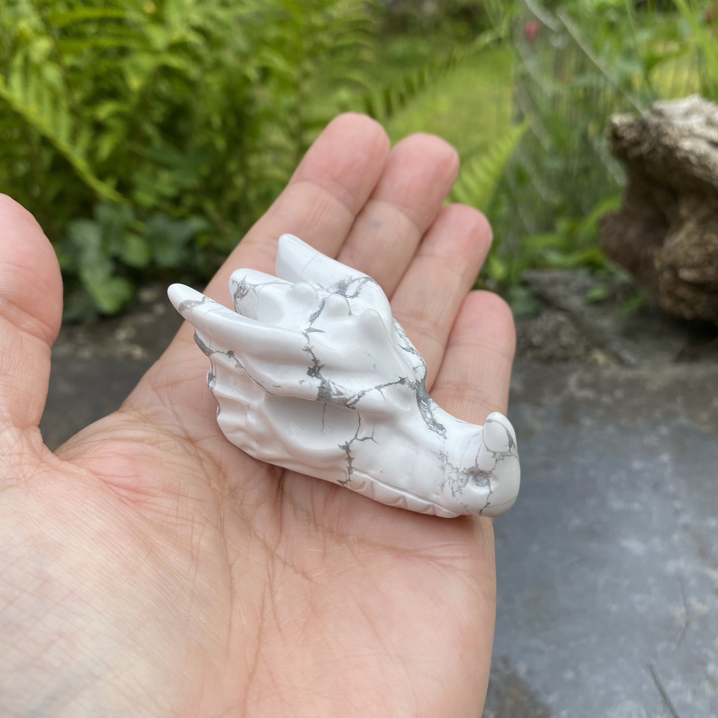 2024 Howlite Dragon 14.JPG