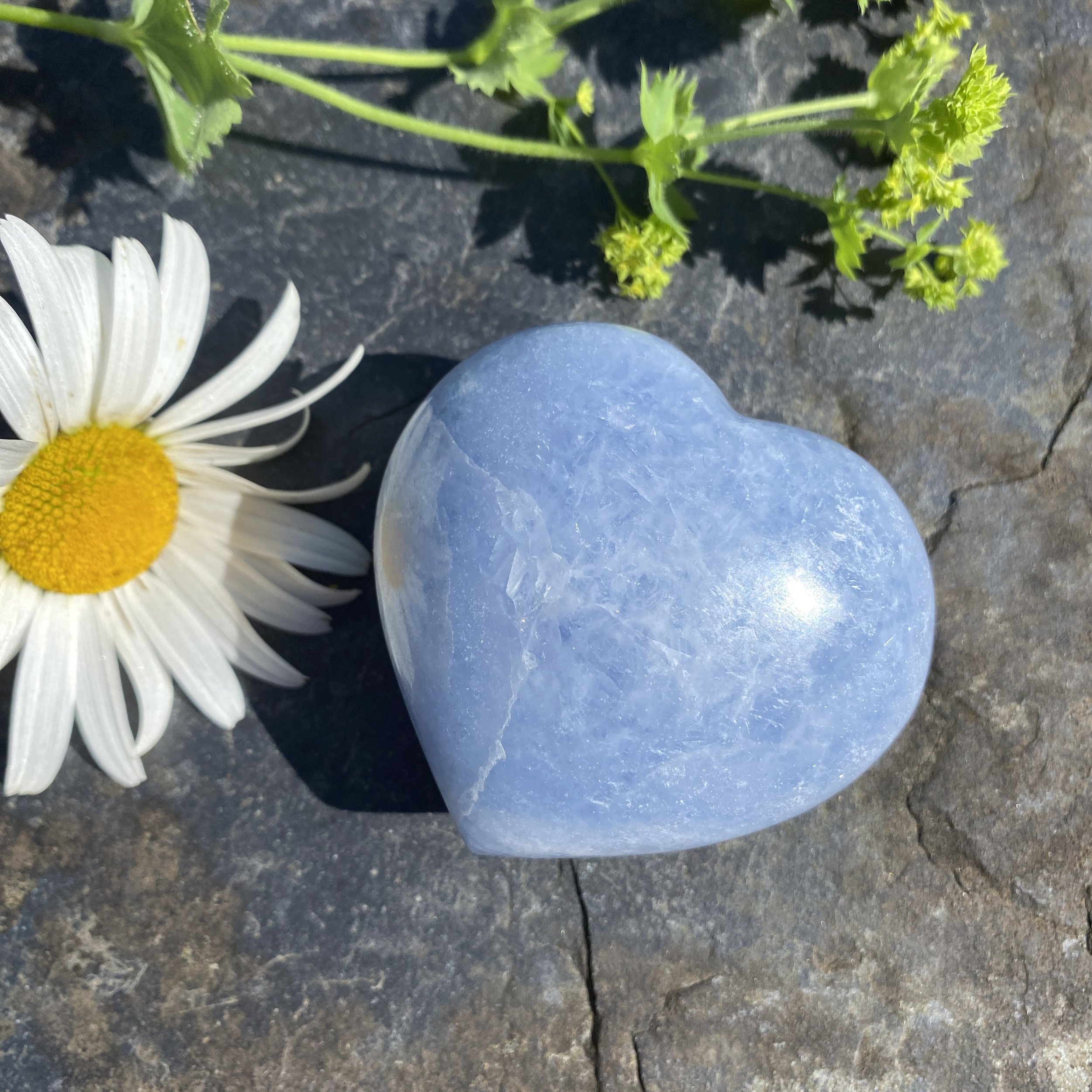 Blue Calcite heart 329.JPG