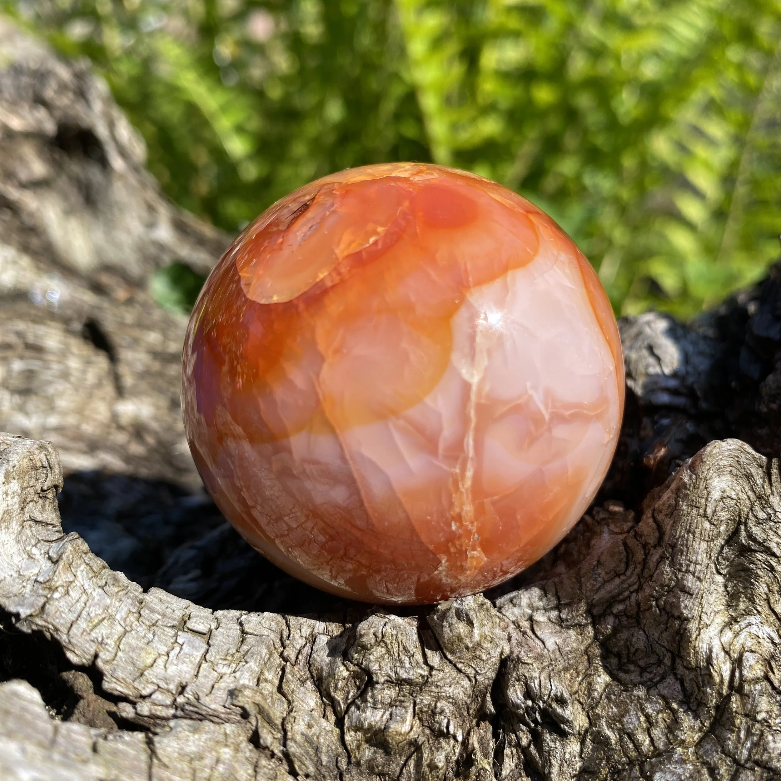 Carnelian sphere 1 £291.JPG
