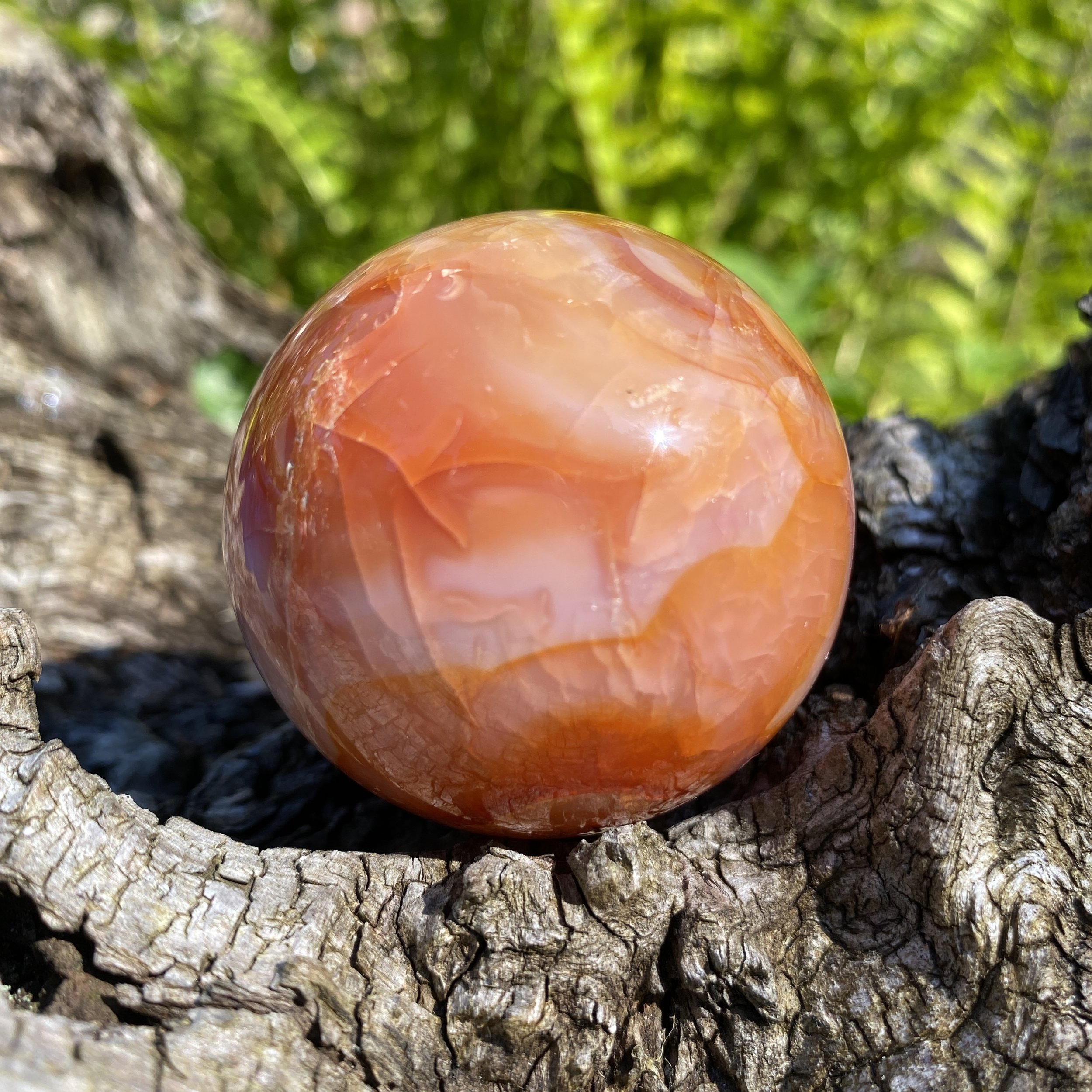Carnelian sphere 1 £292.JPG