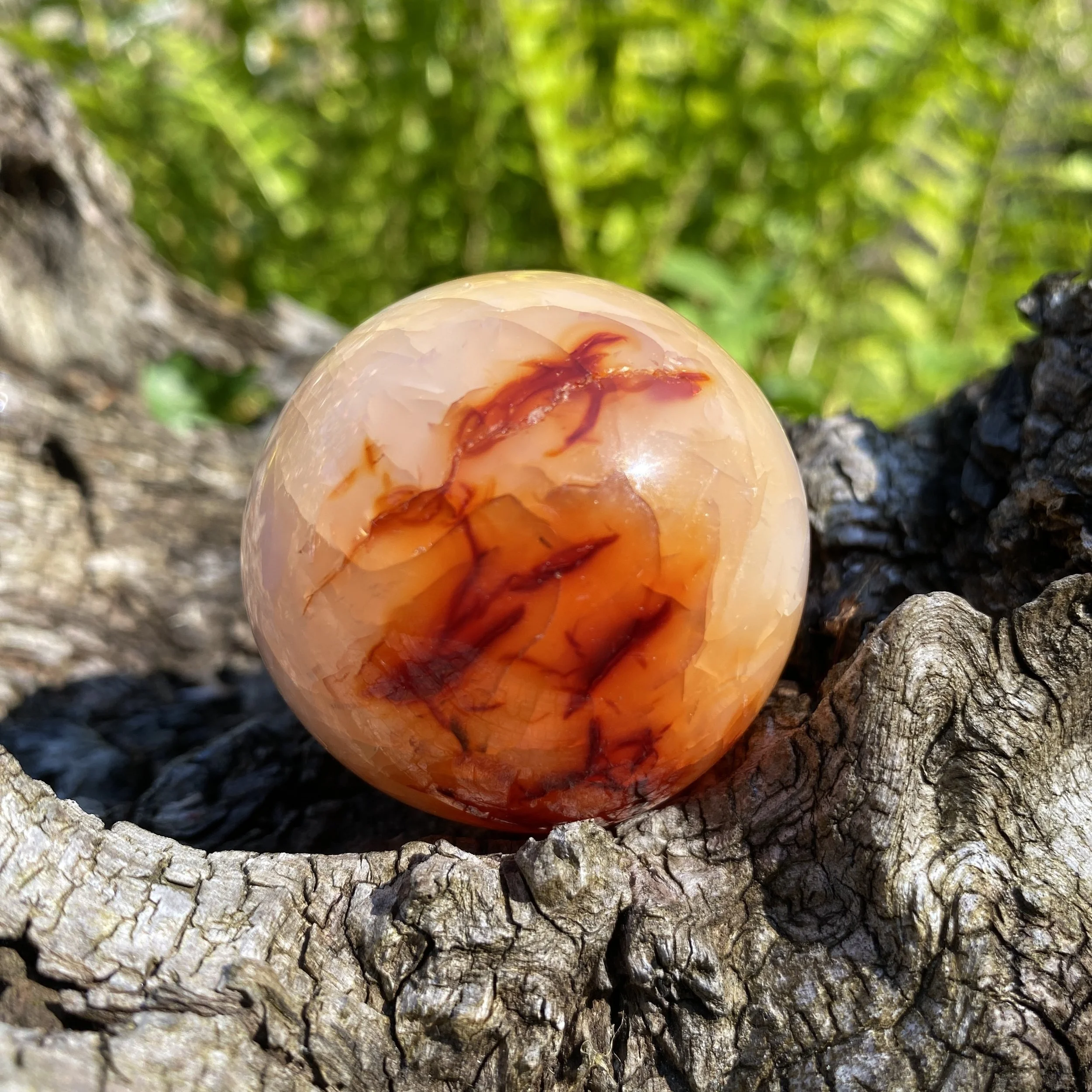 Carnelian sphere 3 £261.JPG