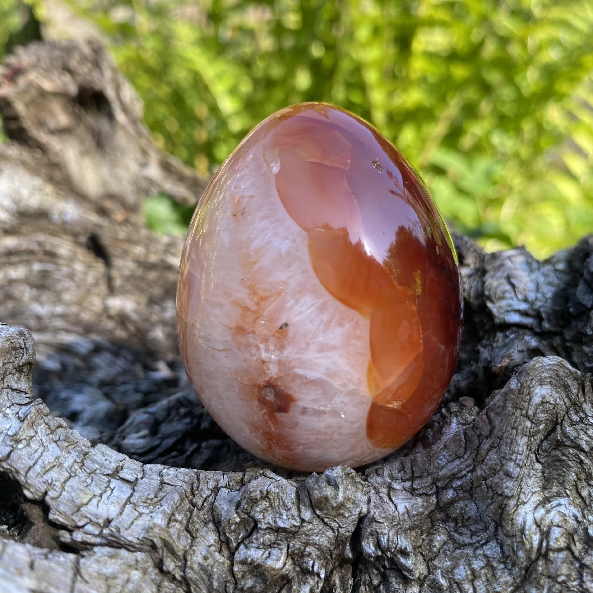 Carnelian Egg 3