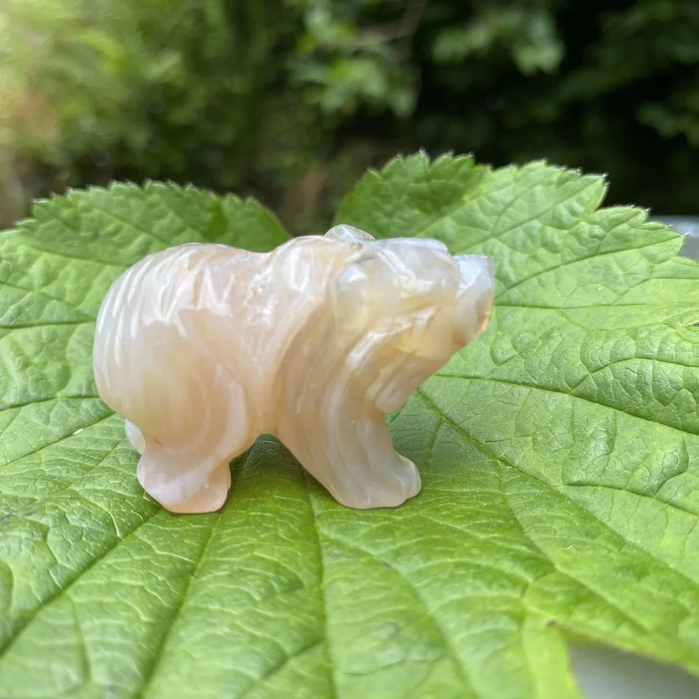 Botswana Agate Bear 2