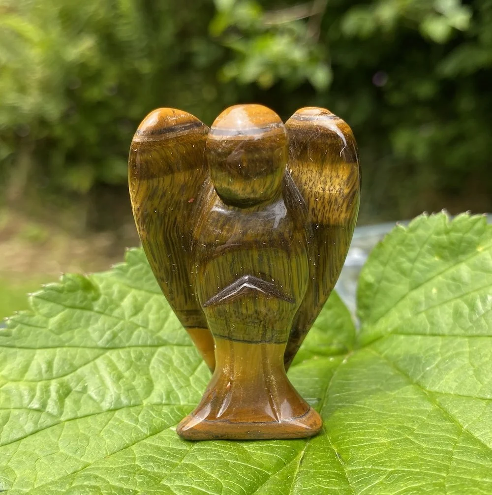 2024 Angel Tigers Eye 52mm.JPG