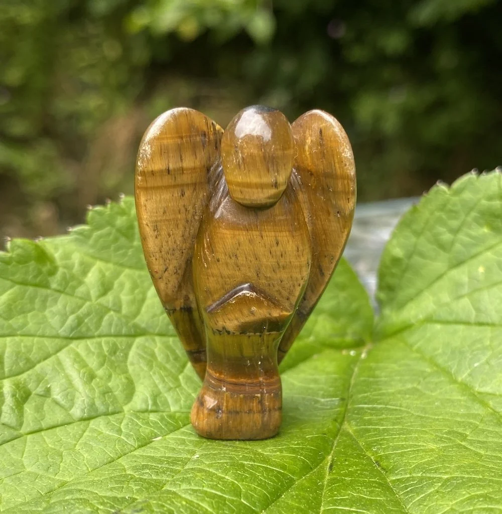 2024 Angel T Eye 42mm2.JPG