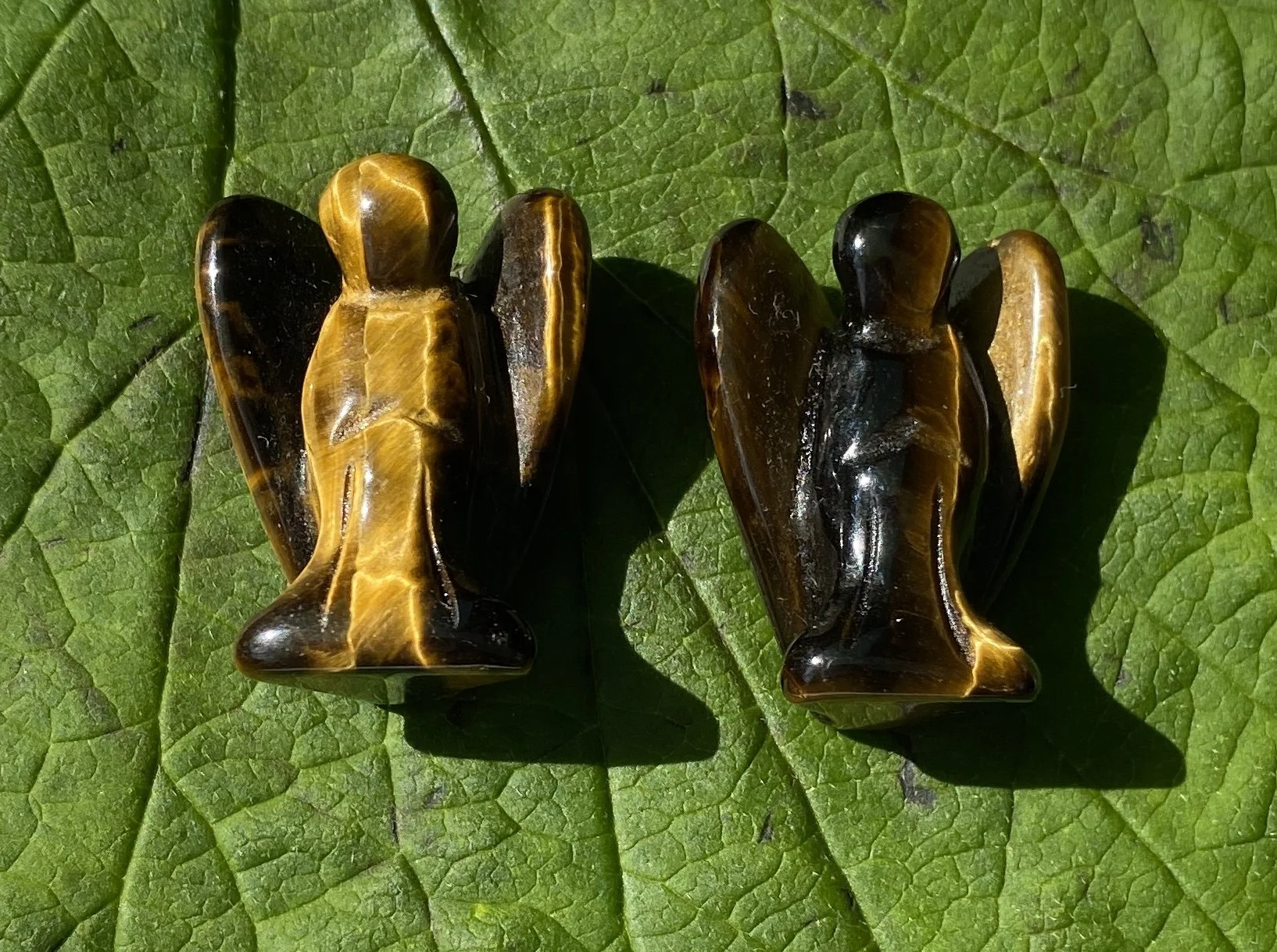 2024 Angel TEye 28mm.JPG