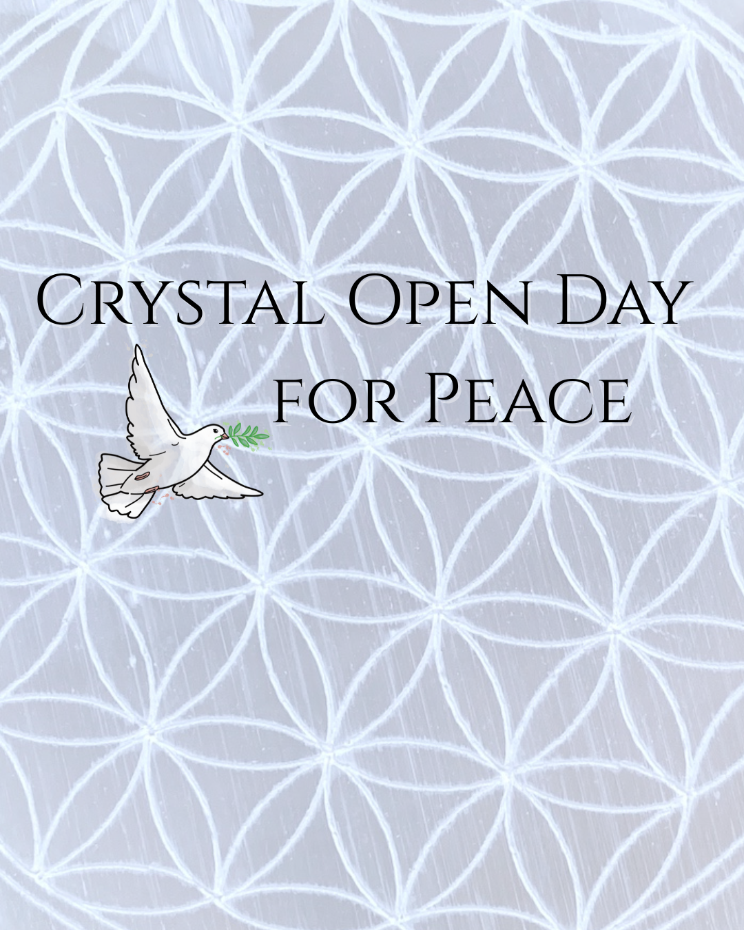 Crystal Open Day  