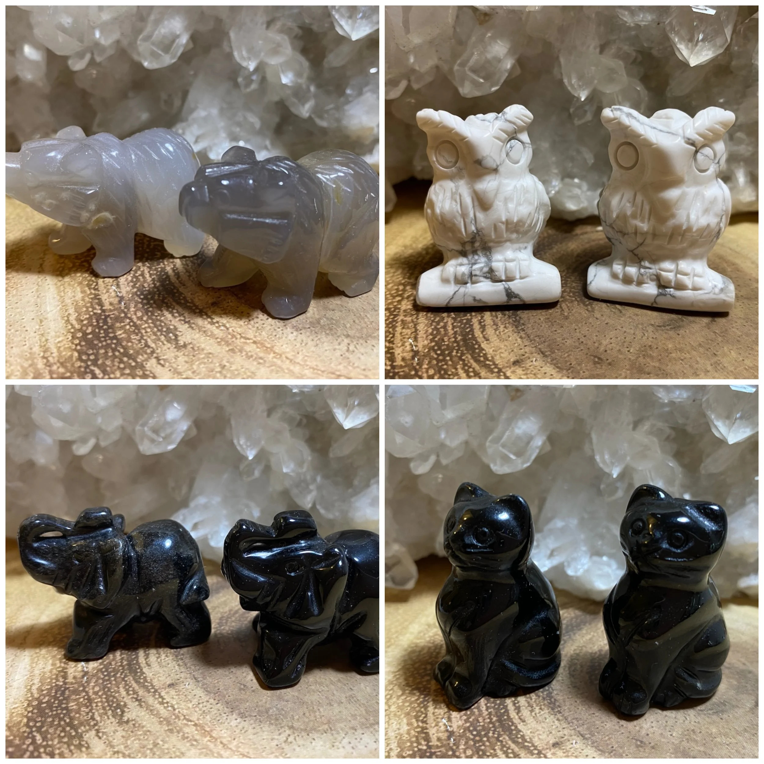 ANIMALS