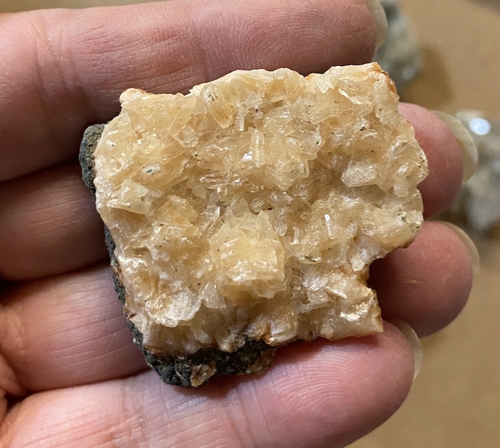 NEW - CLEARANCE FROM £2