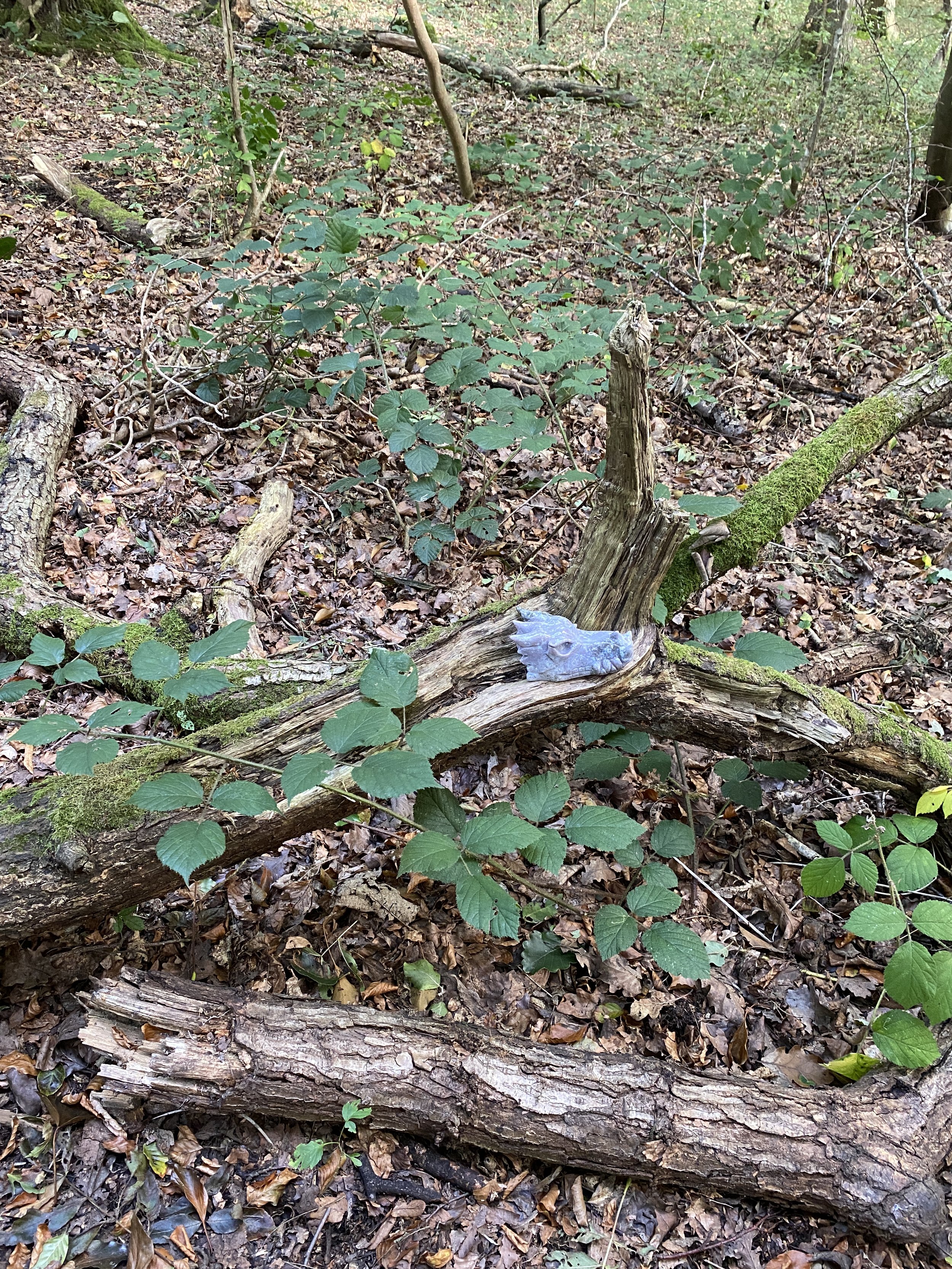 2023 September Wales Sacred Journey49.JPG